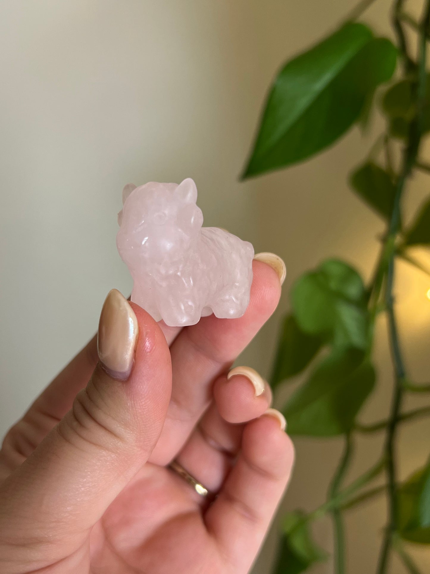 Rose Quartz Highland Cow