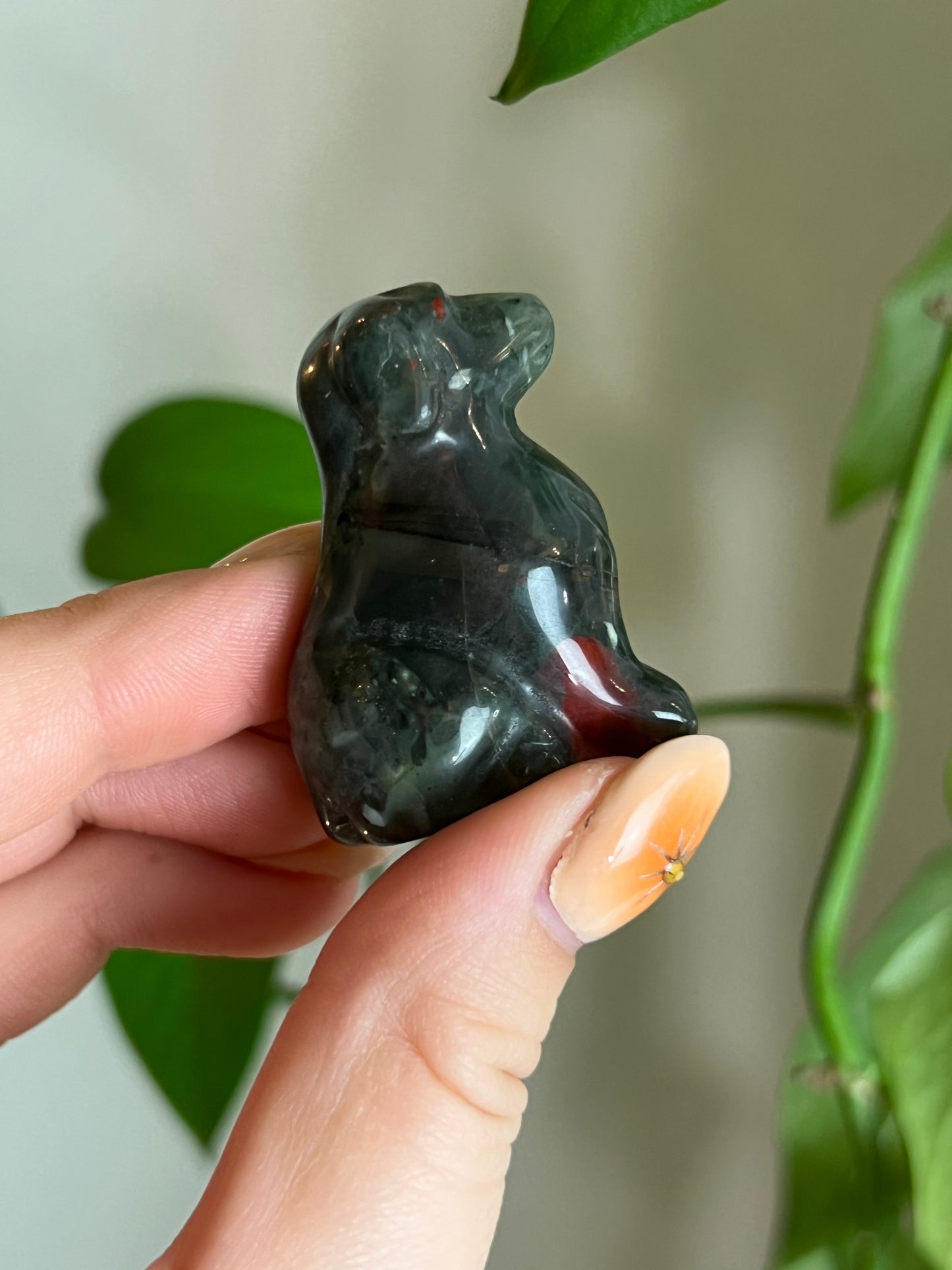 African Bloodstone Doggo