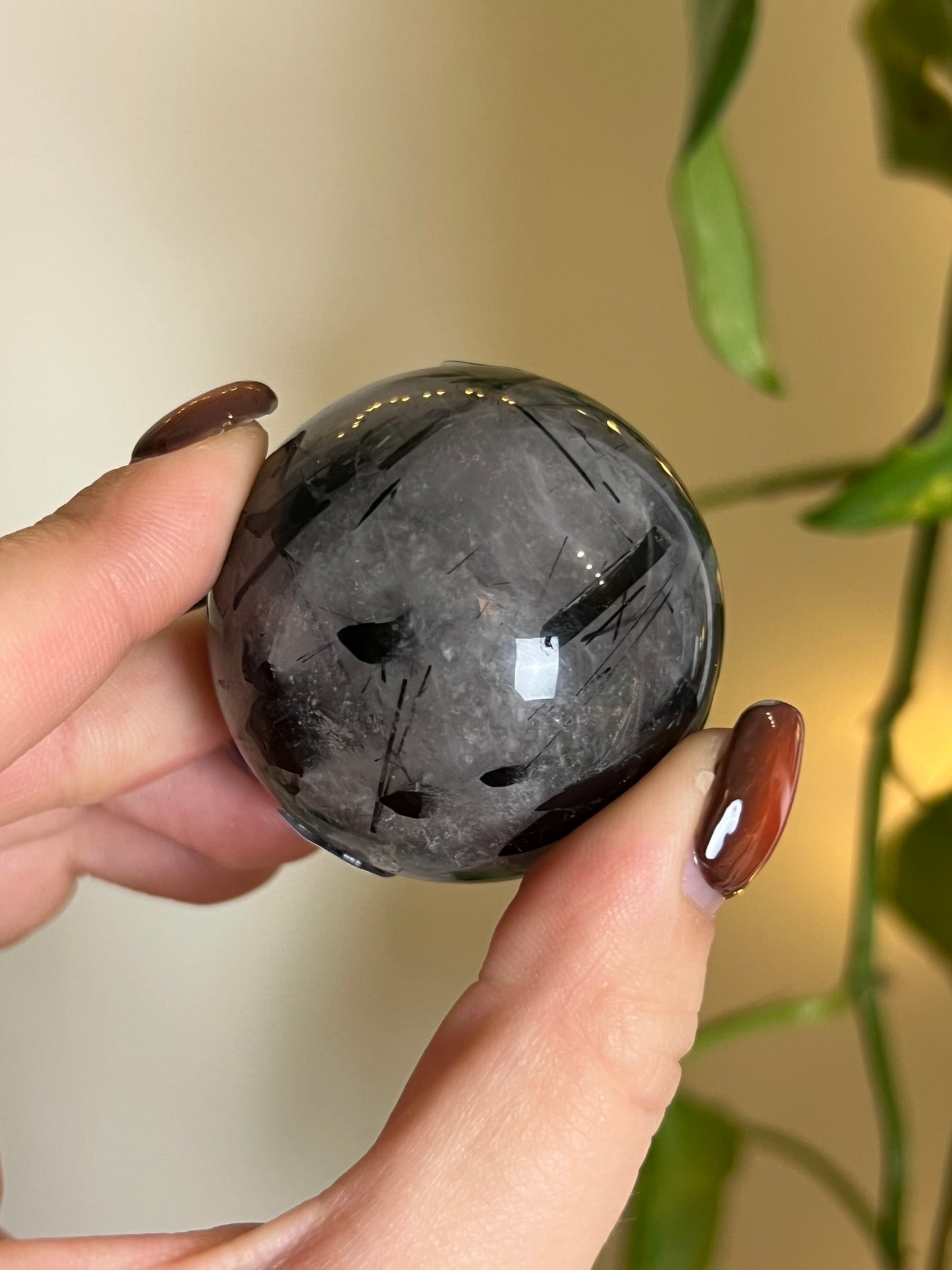 Black Tourmaline in Quartz Sphere - X