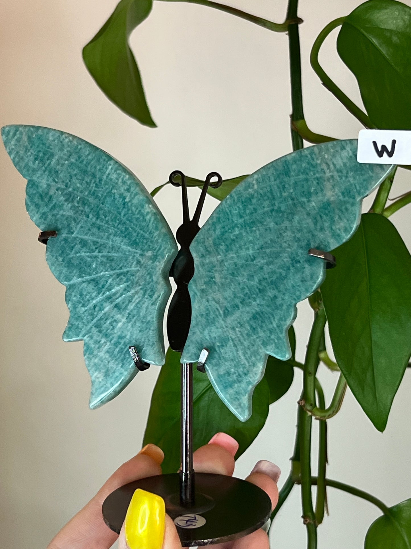 Amazonite Butterfly Stand - W
