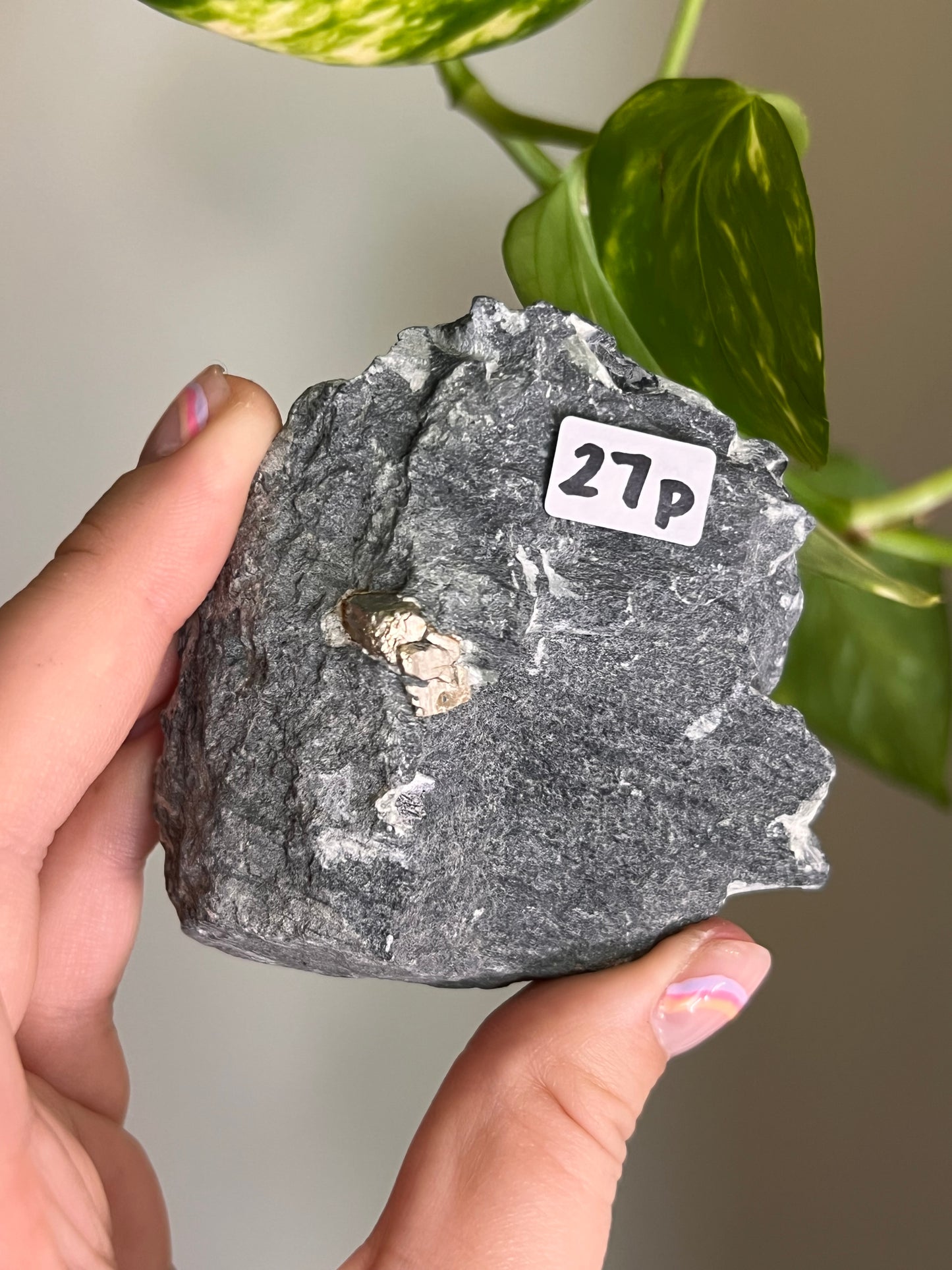 Pyrite on Matrix - Ontario - Z
