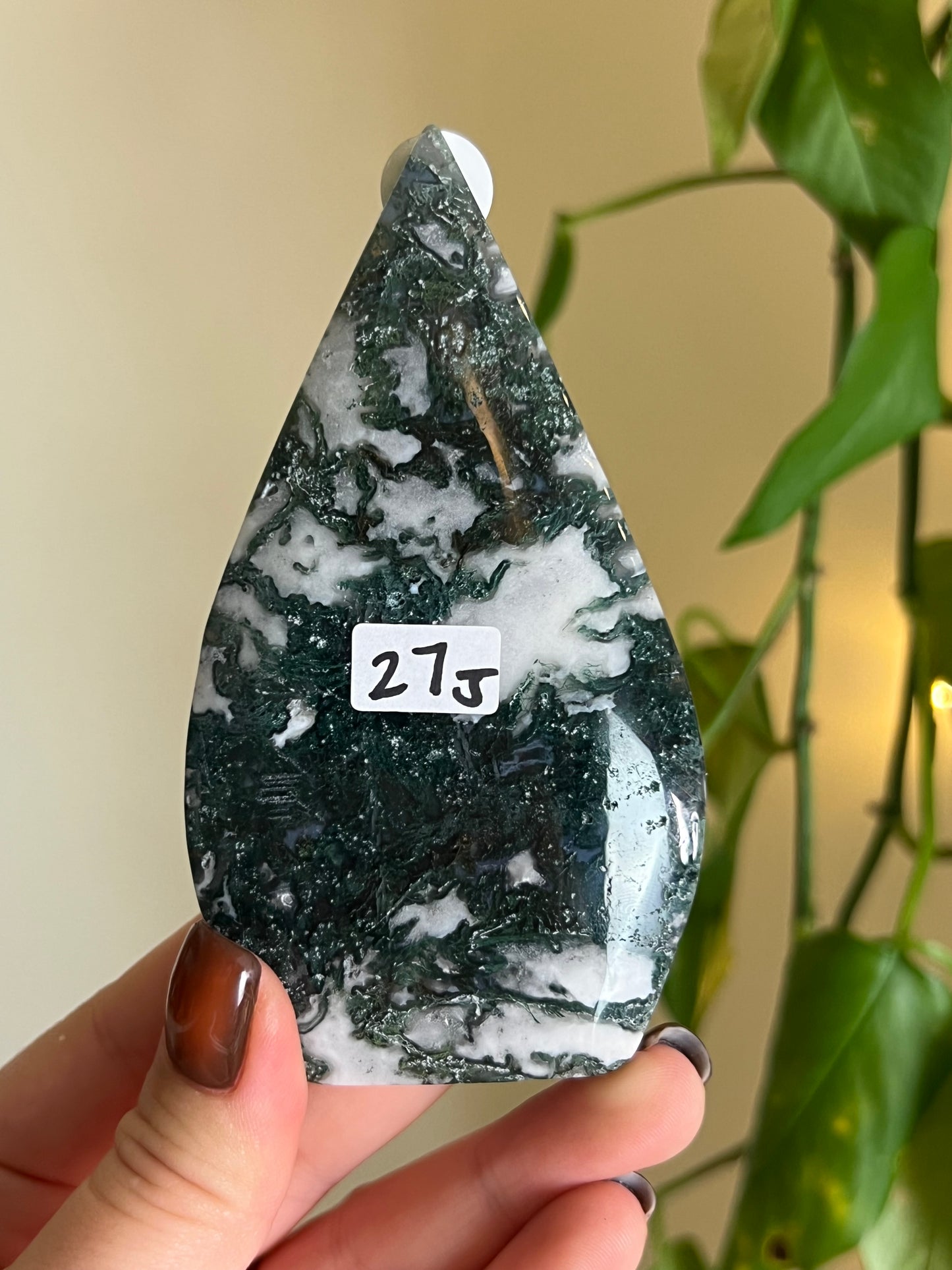 Moss Agate Freeform - J