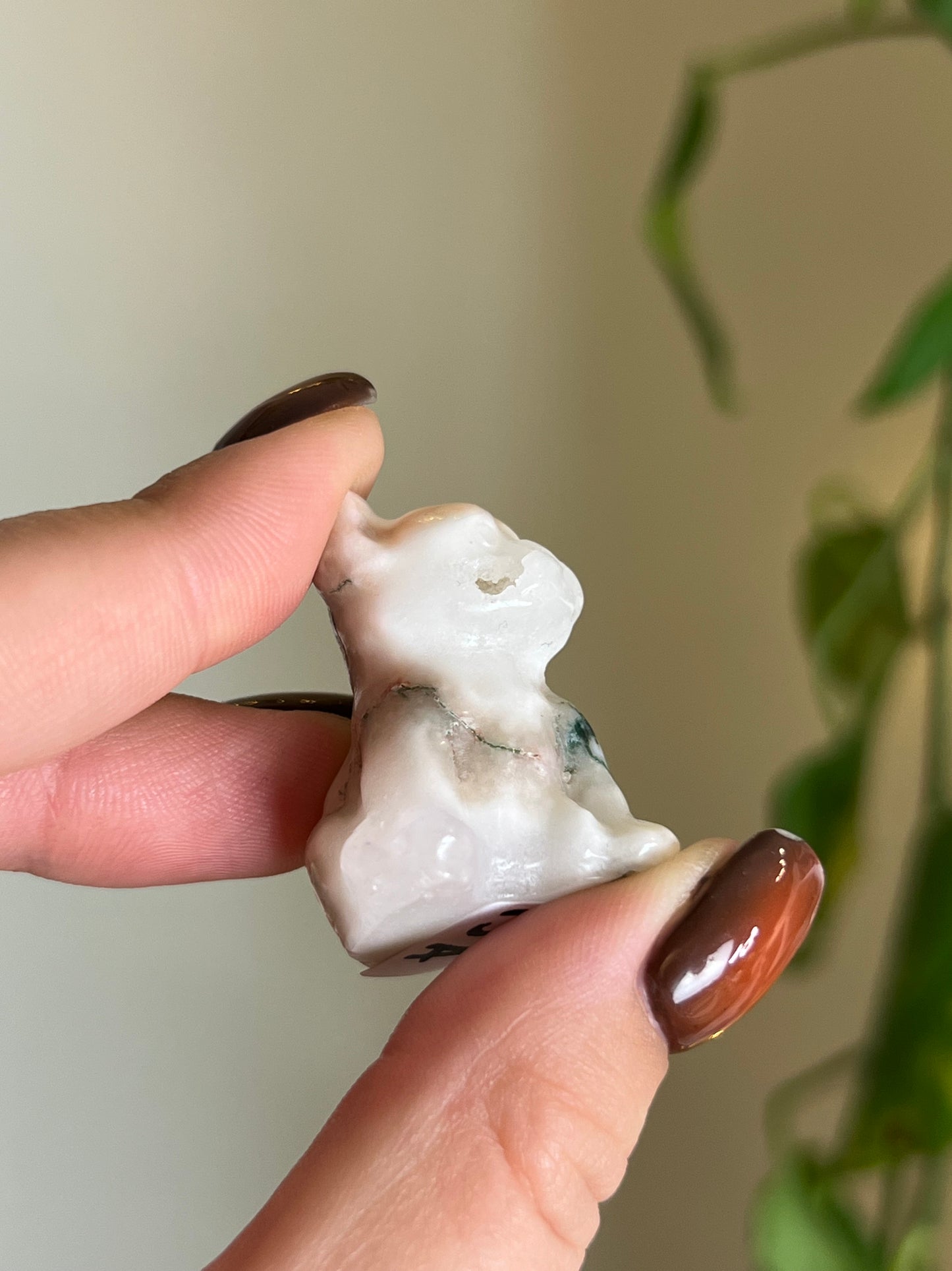 Tree Agate With Druzy Frenchie Dog