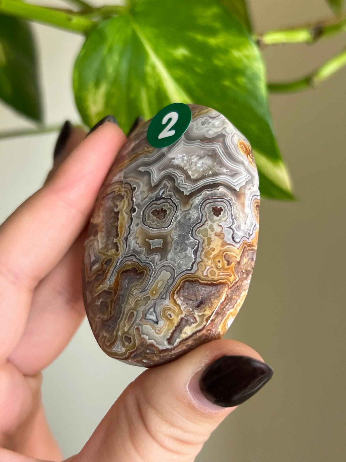 Druzy Mexican Lace Agate Palm Stone - 2