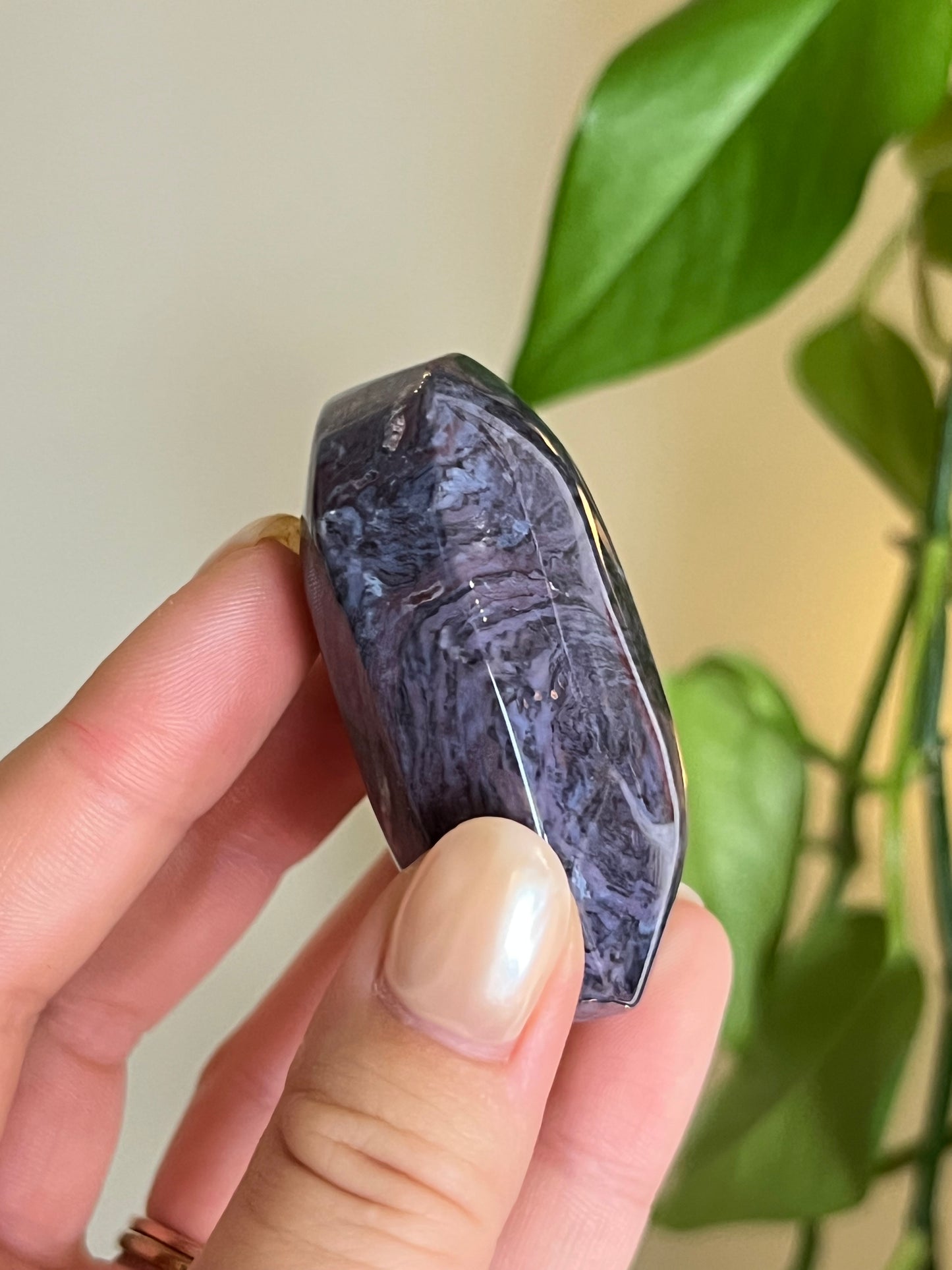 Unique Ocean Jasper Palm Stone