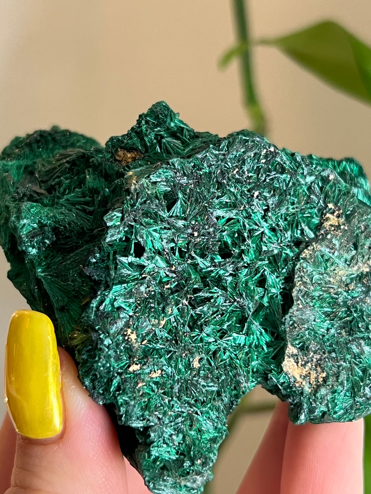 Velvet Malachite Raw B