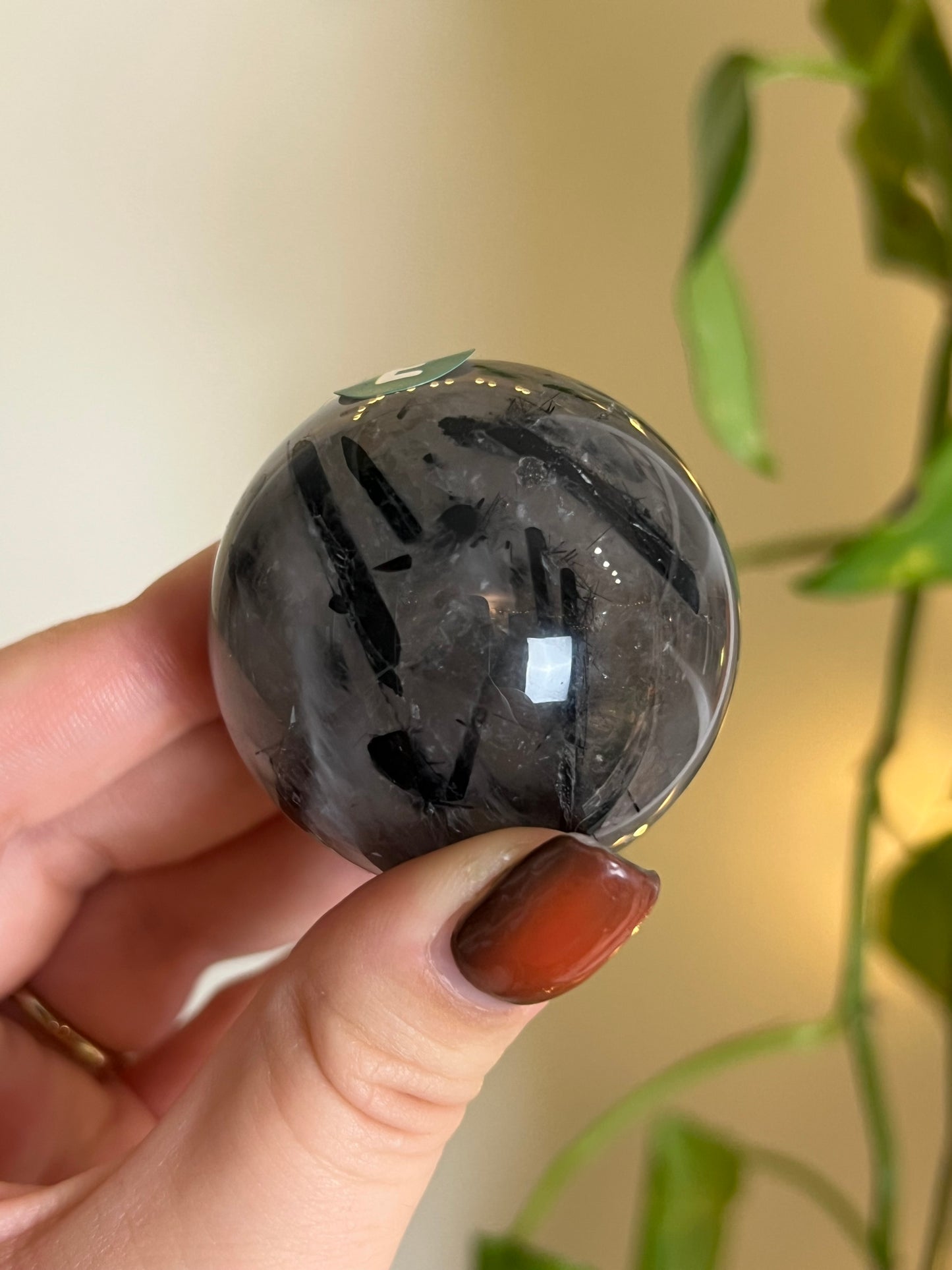 Black Tourmaline in Quartz Sphere - E