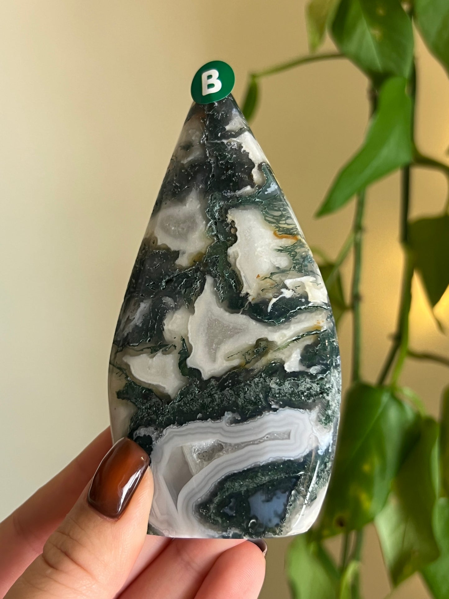 Moss Agate Freeform - B