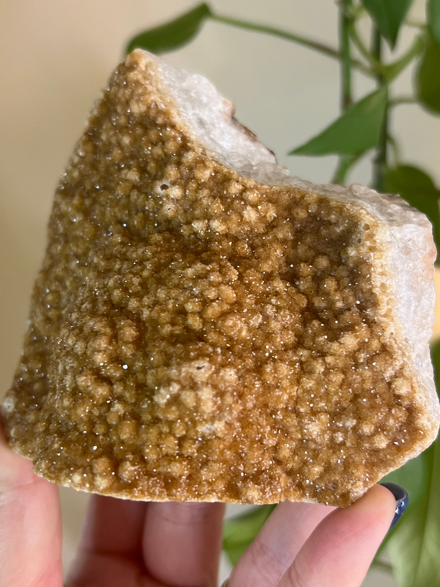 Citrine Druzy Cluster Freeform
