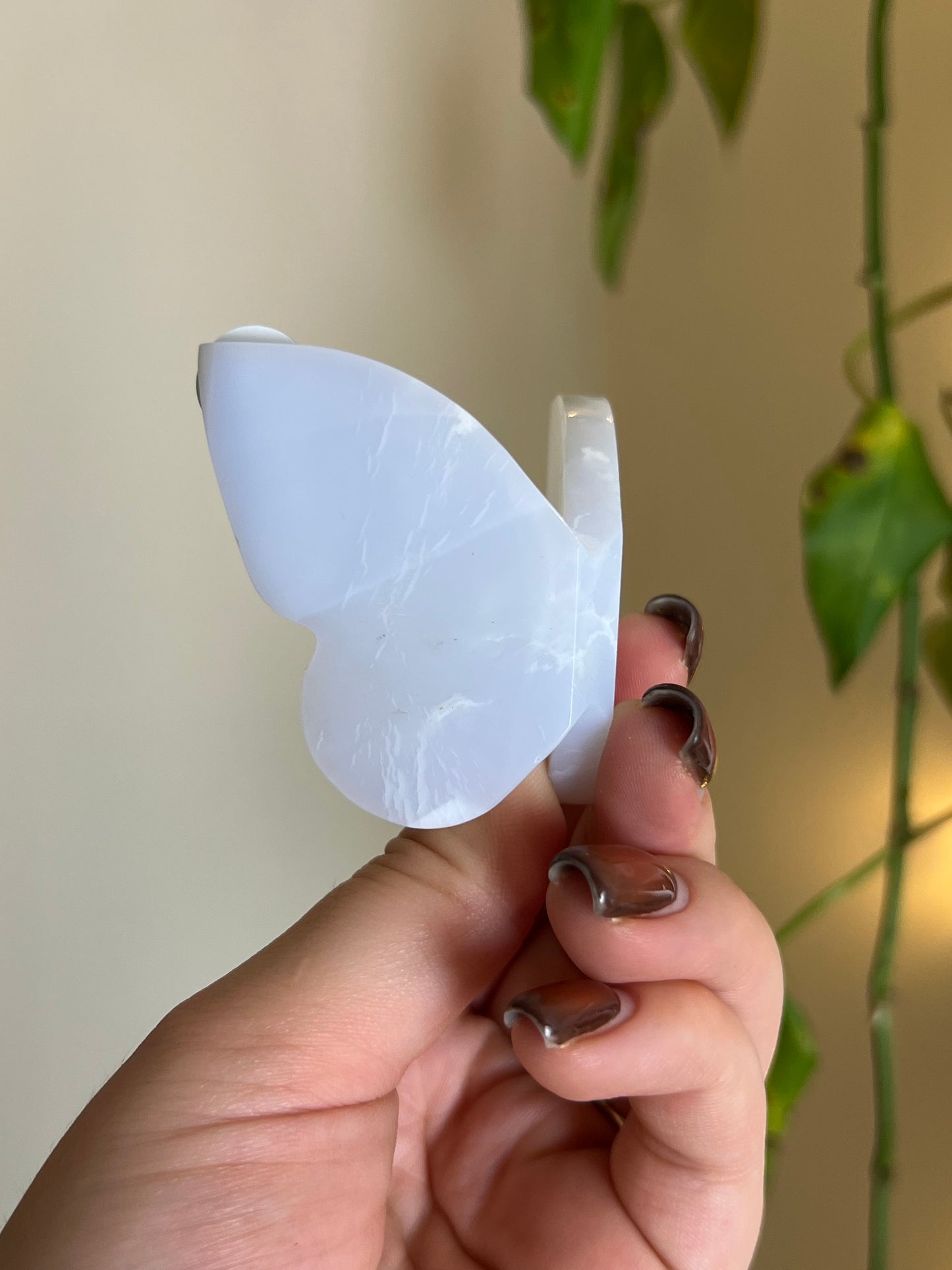 Pastel Blue Chalcedony 3D Butterfly - G