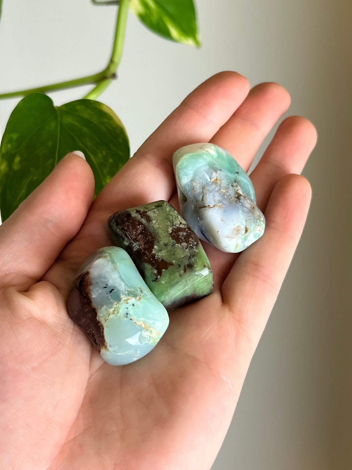 Australian Chrysoprase Tumbled