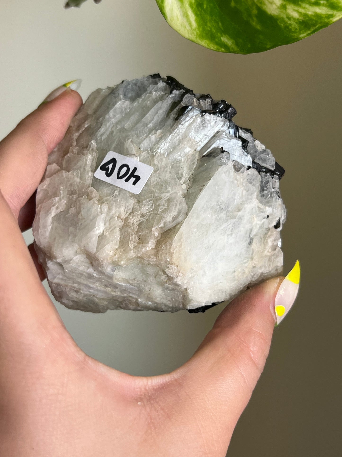 Black Tourmaline on Matrix Specimen