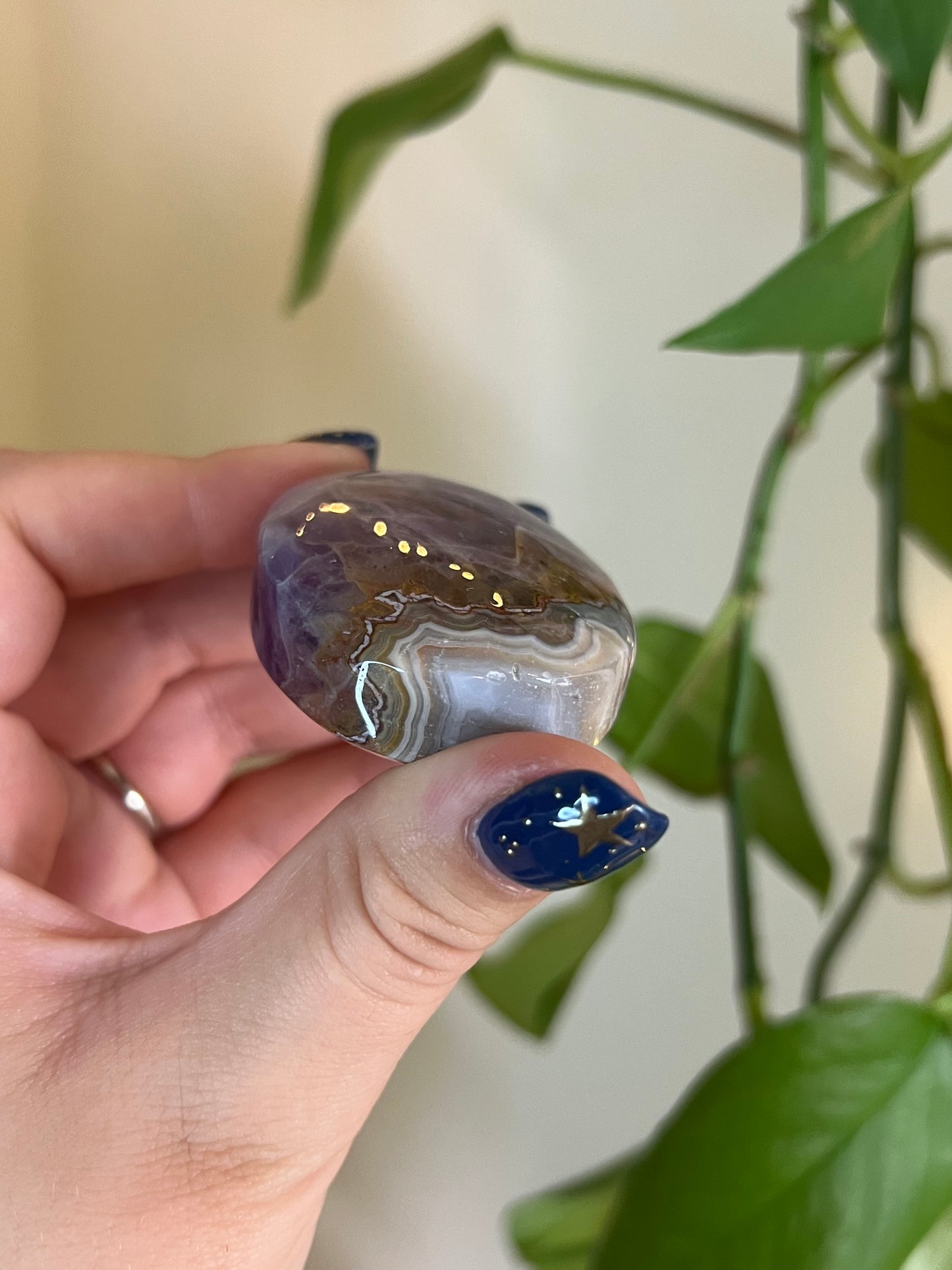 Amethyst x Crazy Lace Agate Palm
