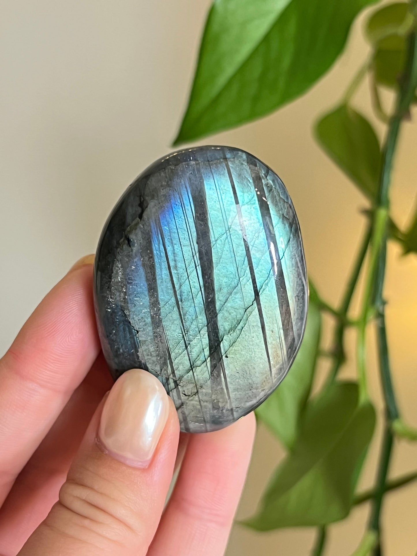 Flashy Labradorite Palm Stone - Intuitively Chosen