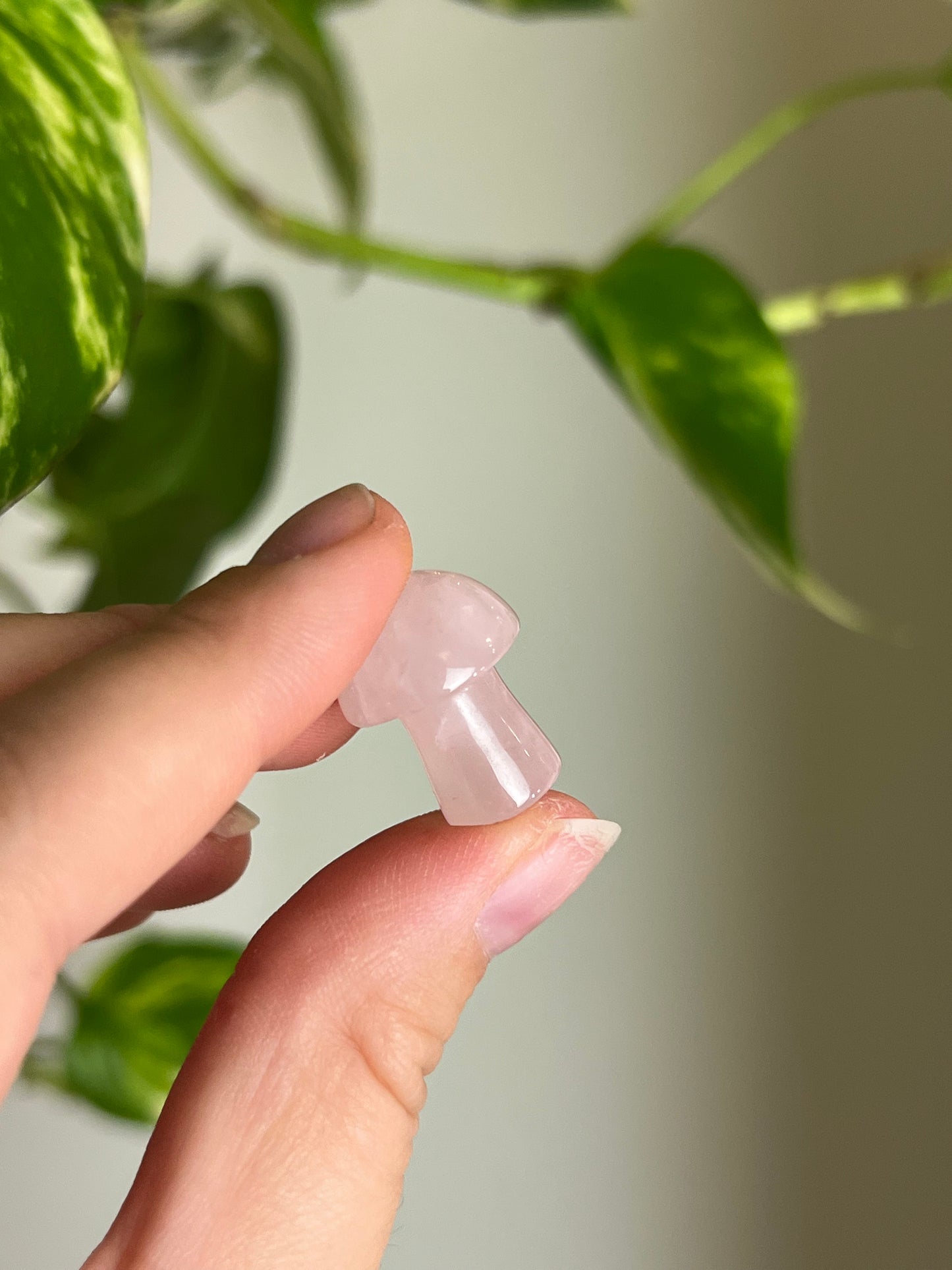Rose Quartz Mini Mushie