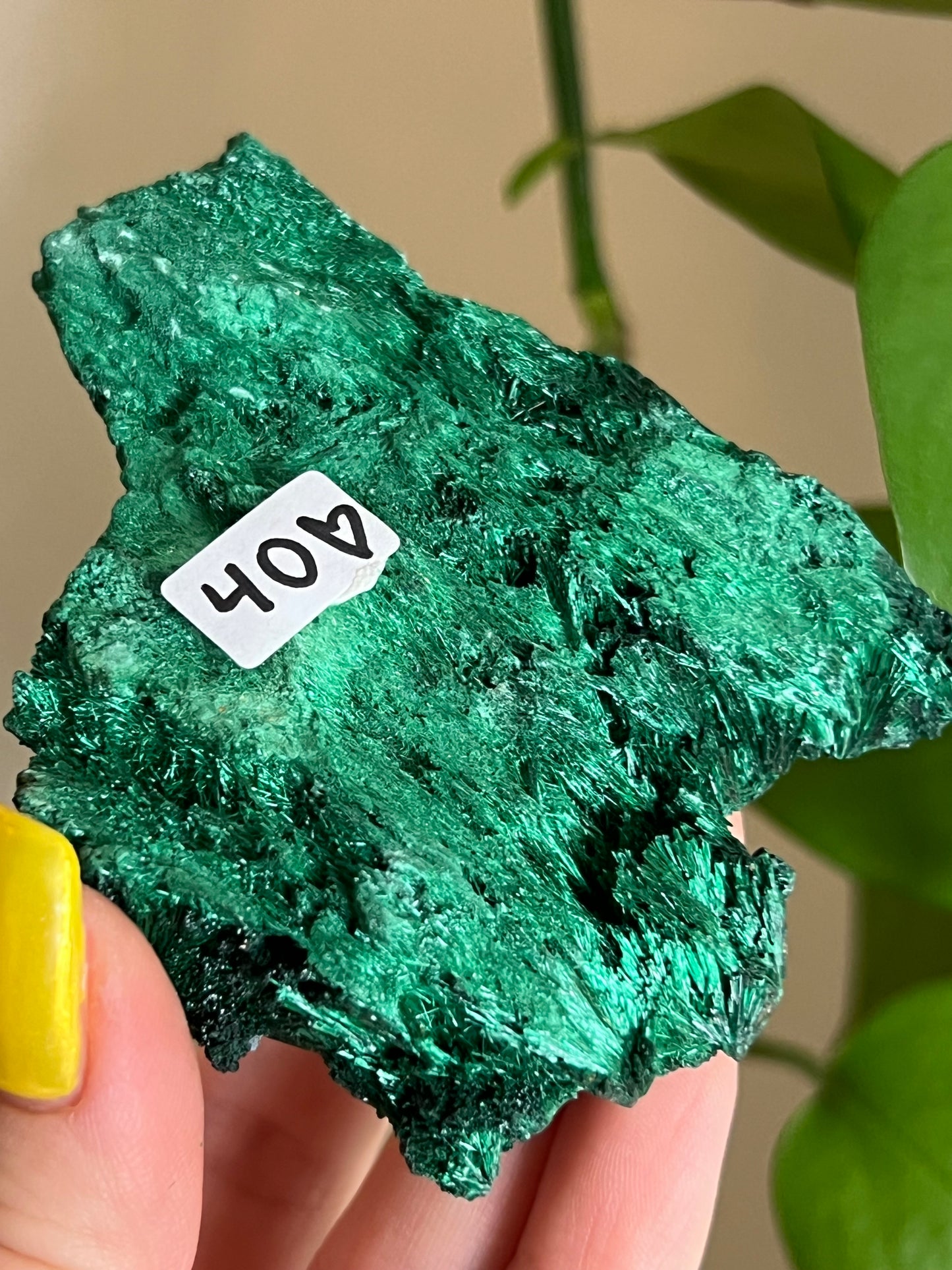 Velvet Malachite Raw B