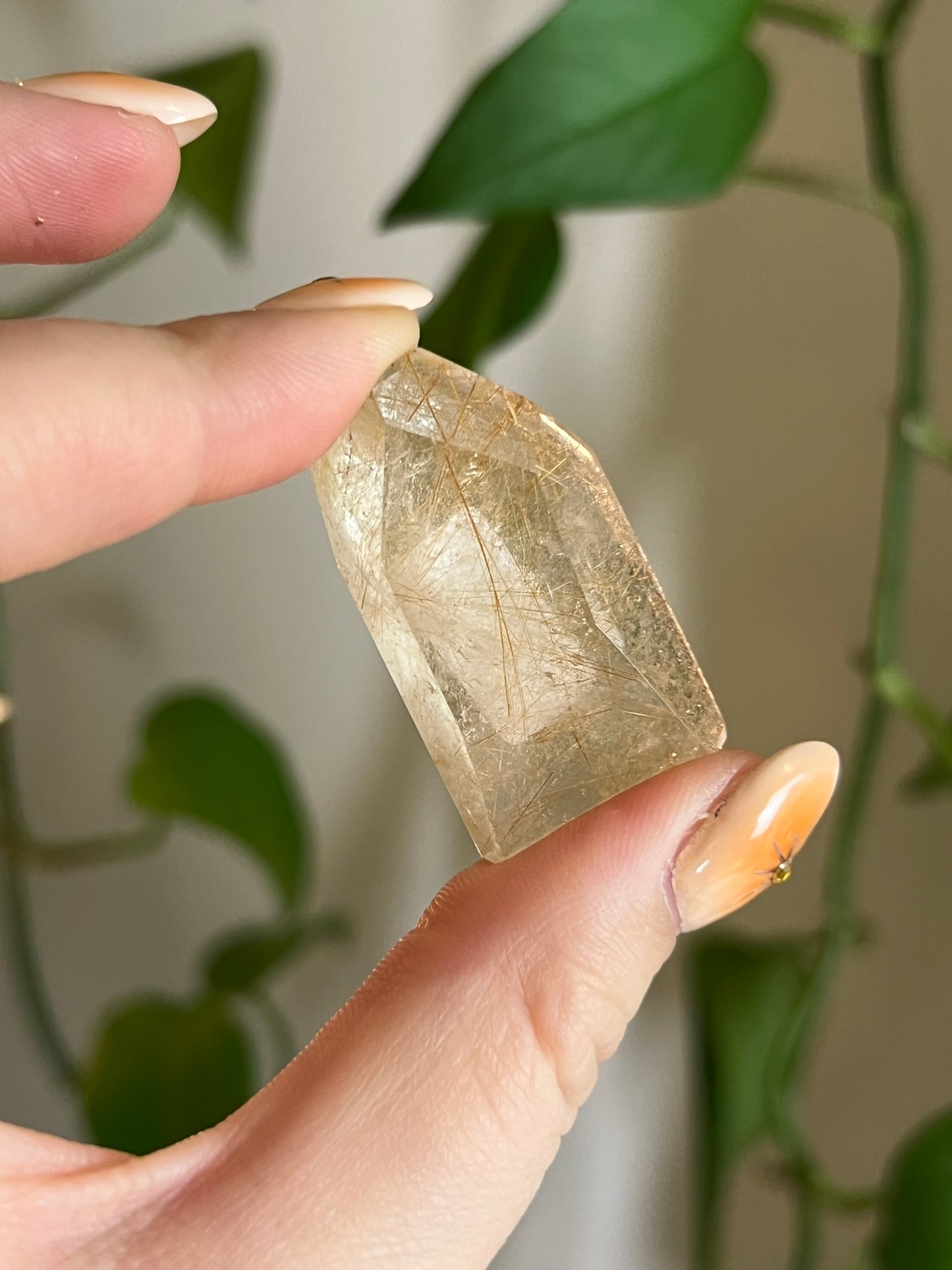 Golden Rutile Quartz Gusher - X