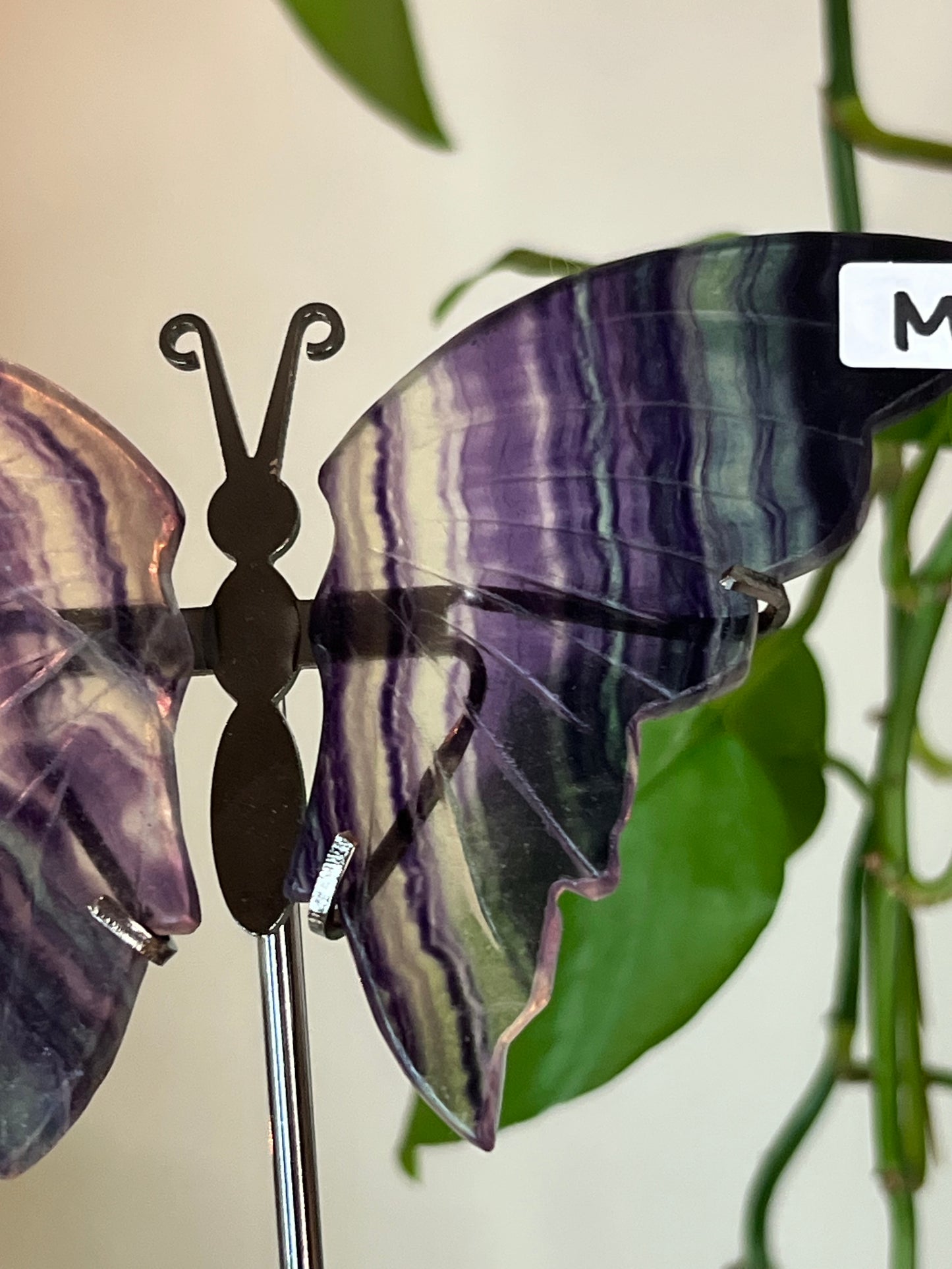 Rainbow Fluorite Butterfly Stand - M
