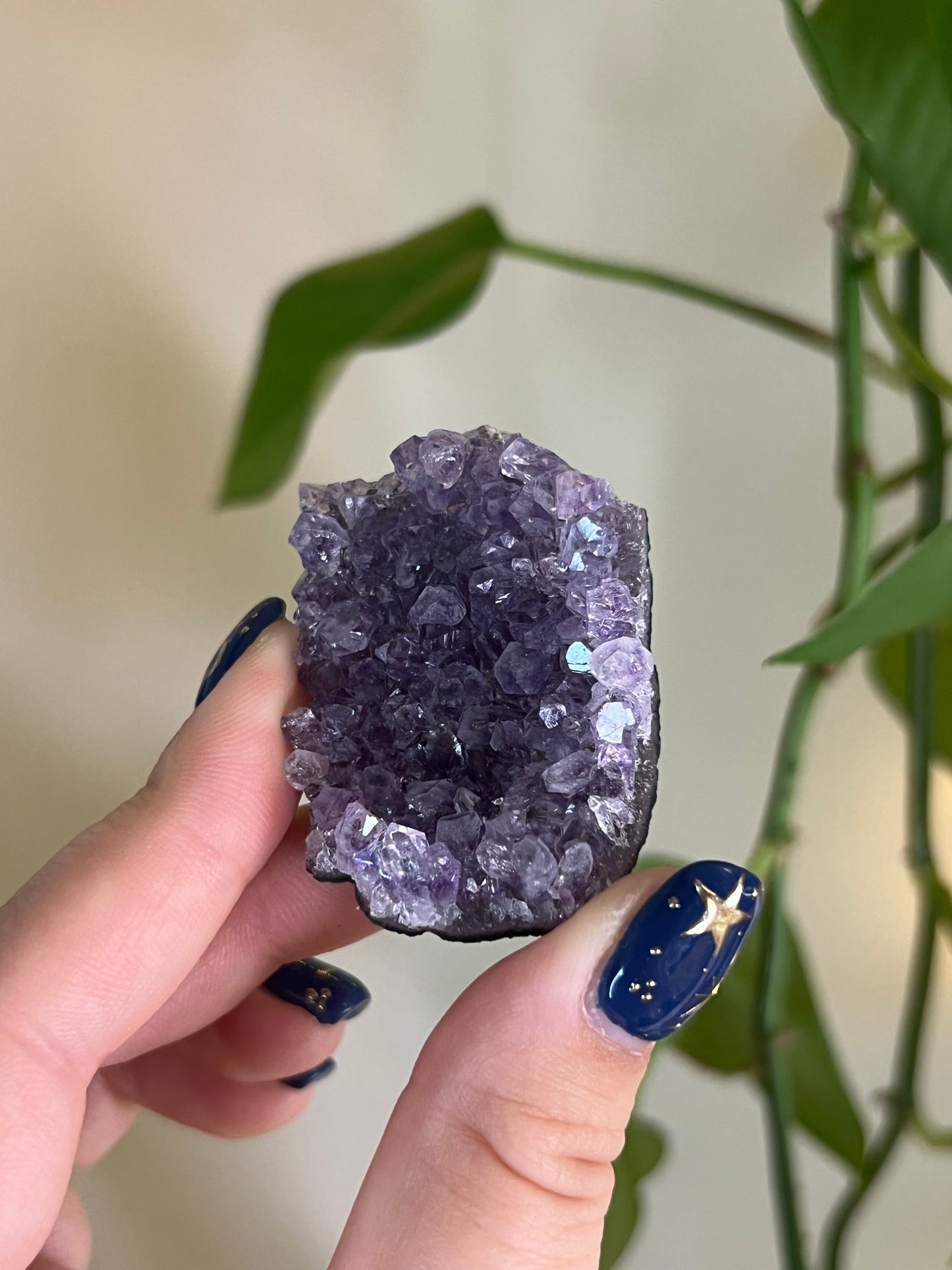 Amethyst Cluster Mini - Intuitively Chosen