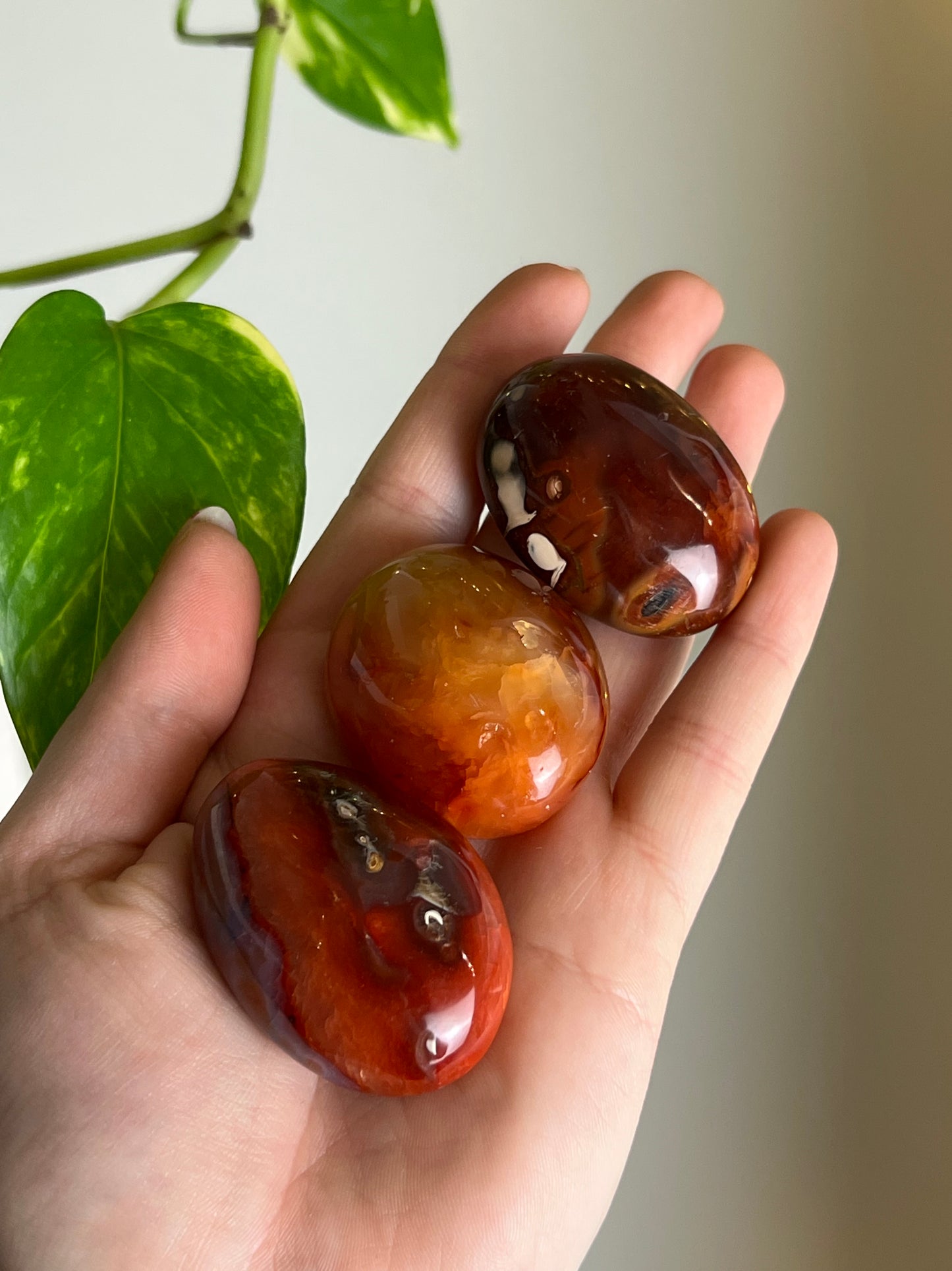 Carnelian Small Palm Stone