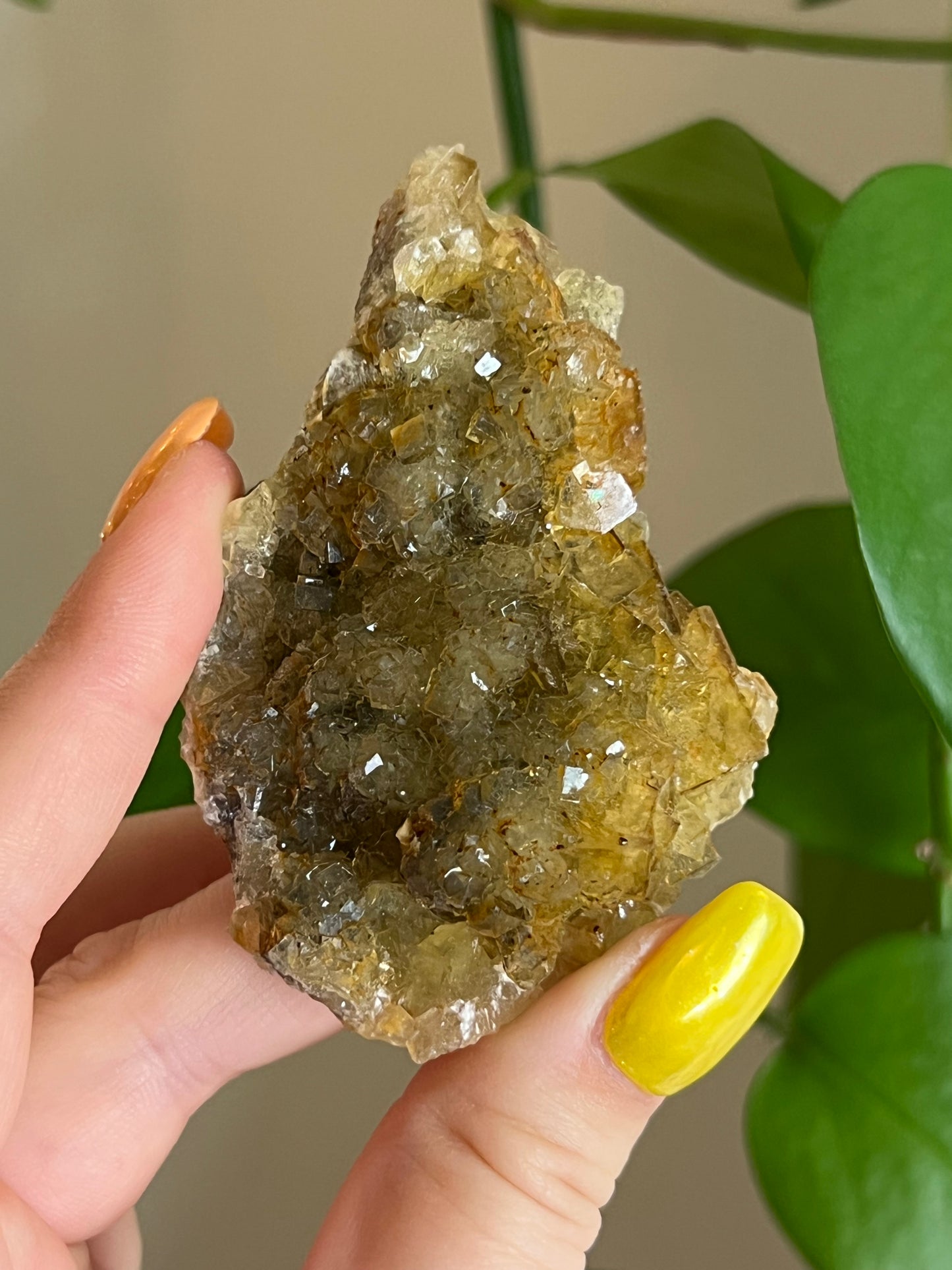 Yellow Fluorite Cluster E