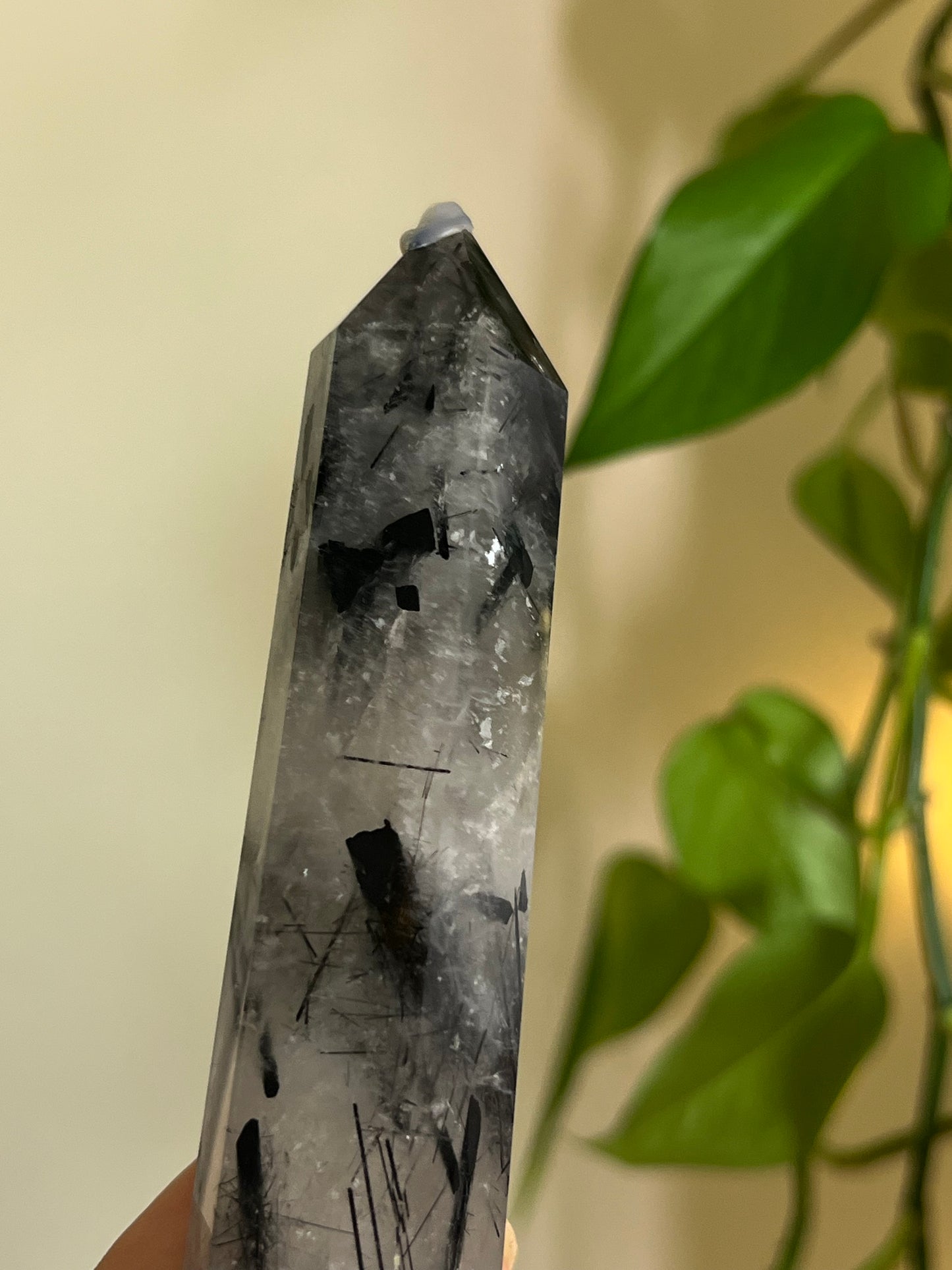 High Quality Black Tourmaline in Quartz Towers