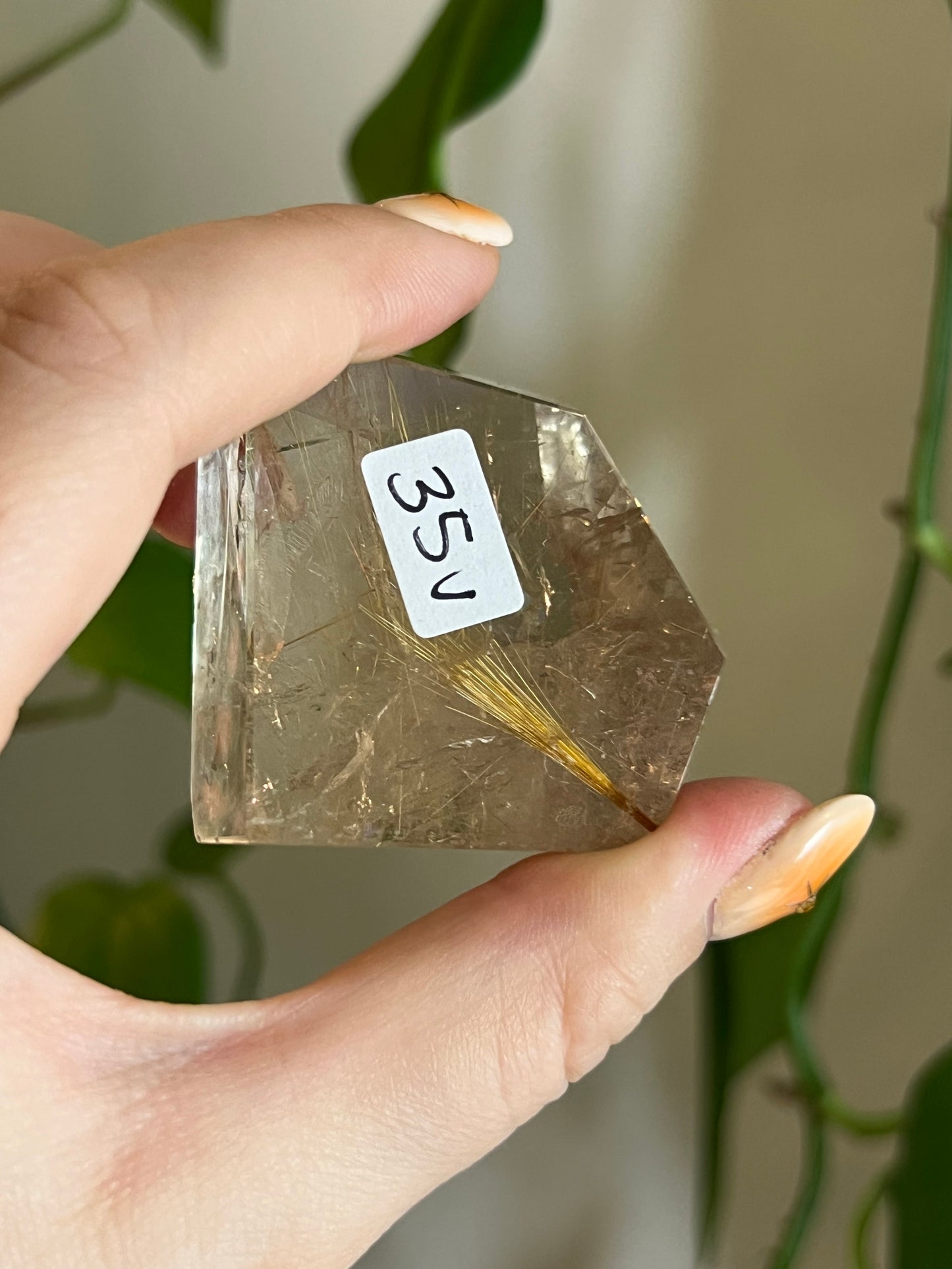 Golden Rutile Quartz Gusher - V