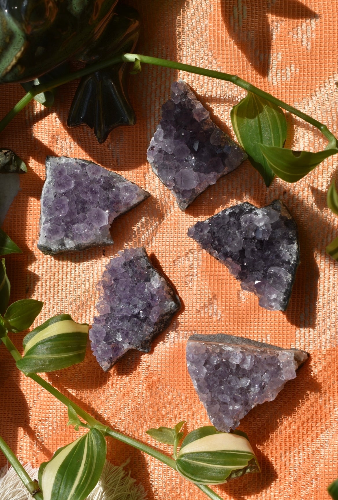 Amethyst Clusters