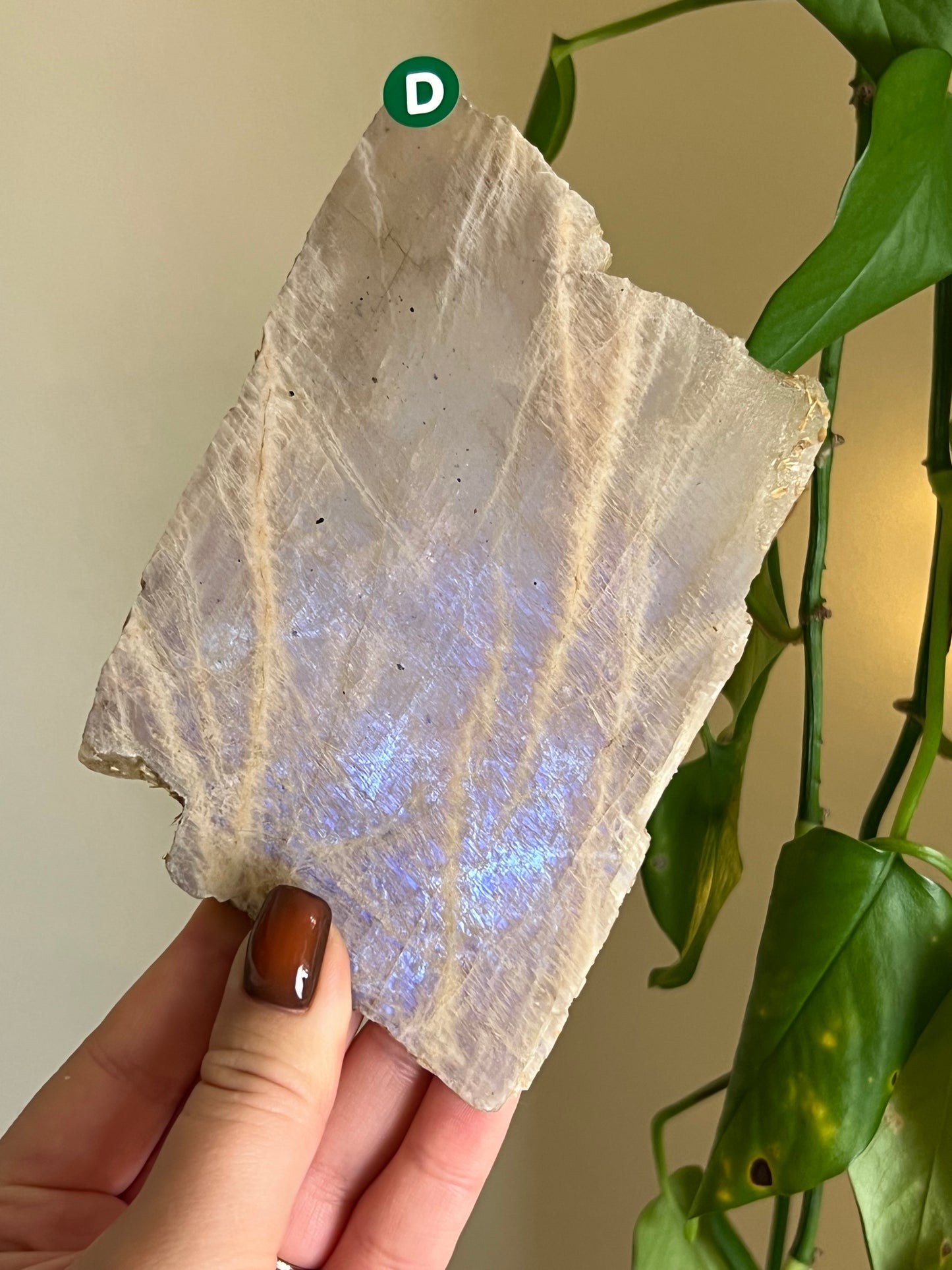 Flashy Moonstone Slab - D