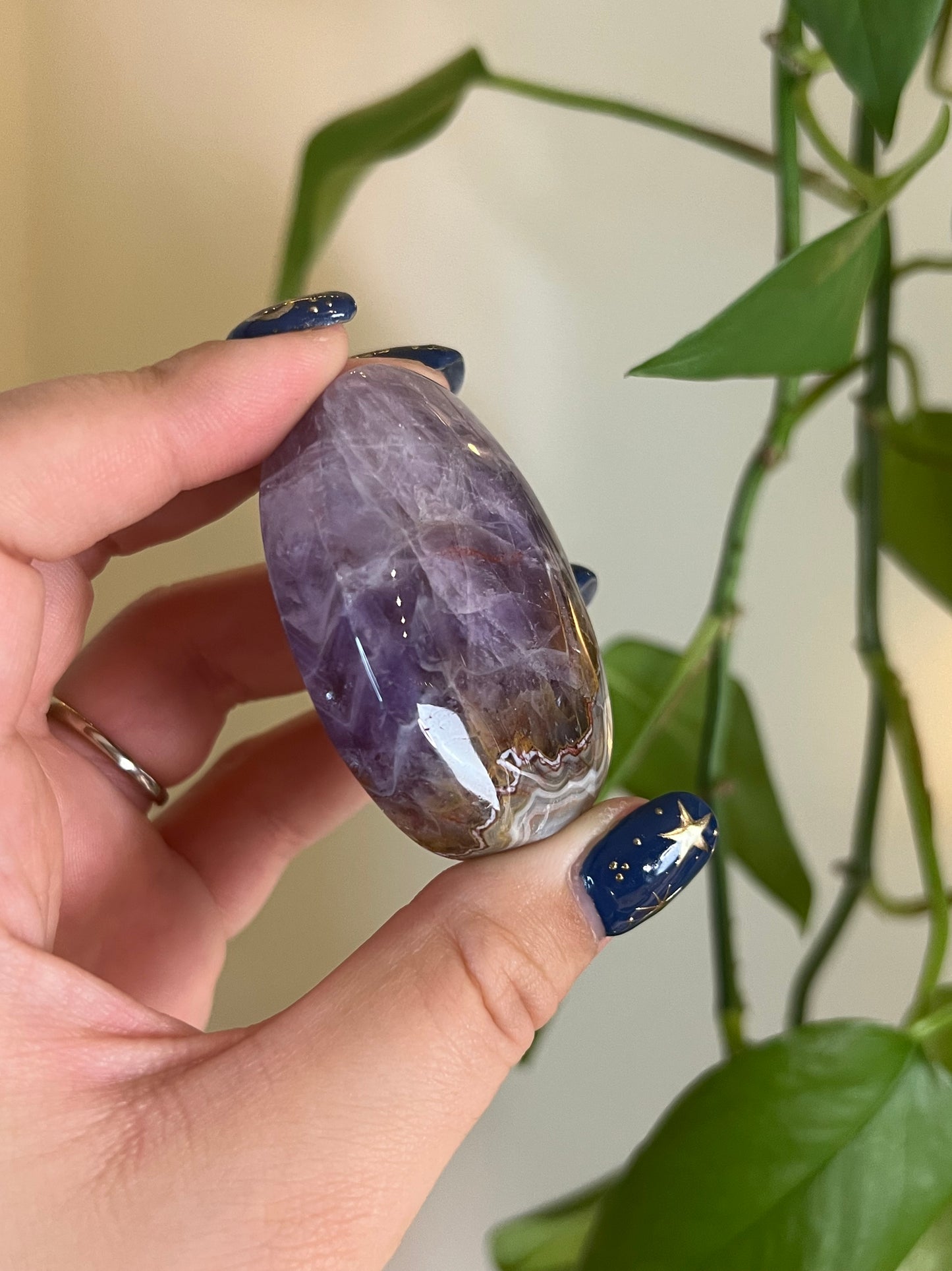 Amethyst x Crazy Lace Agate Palm
