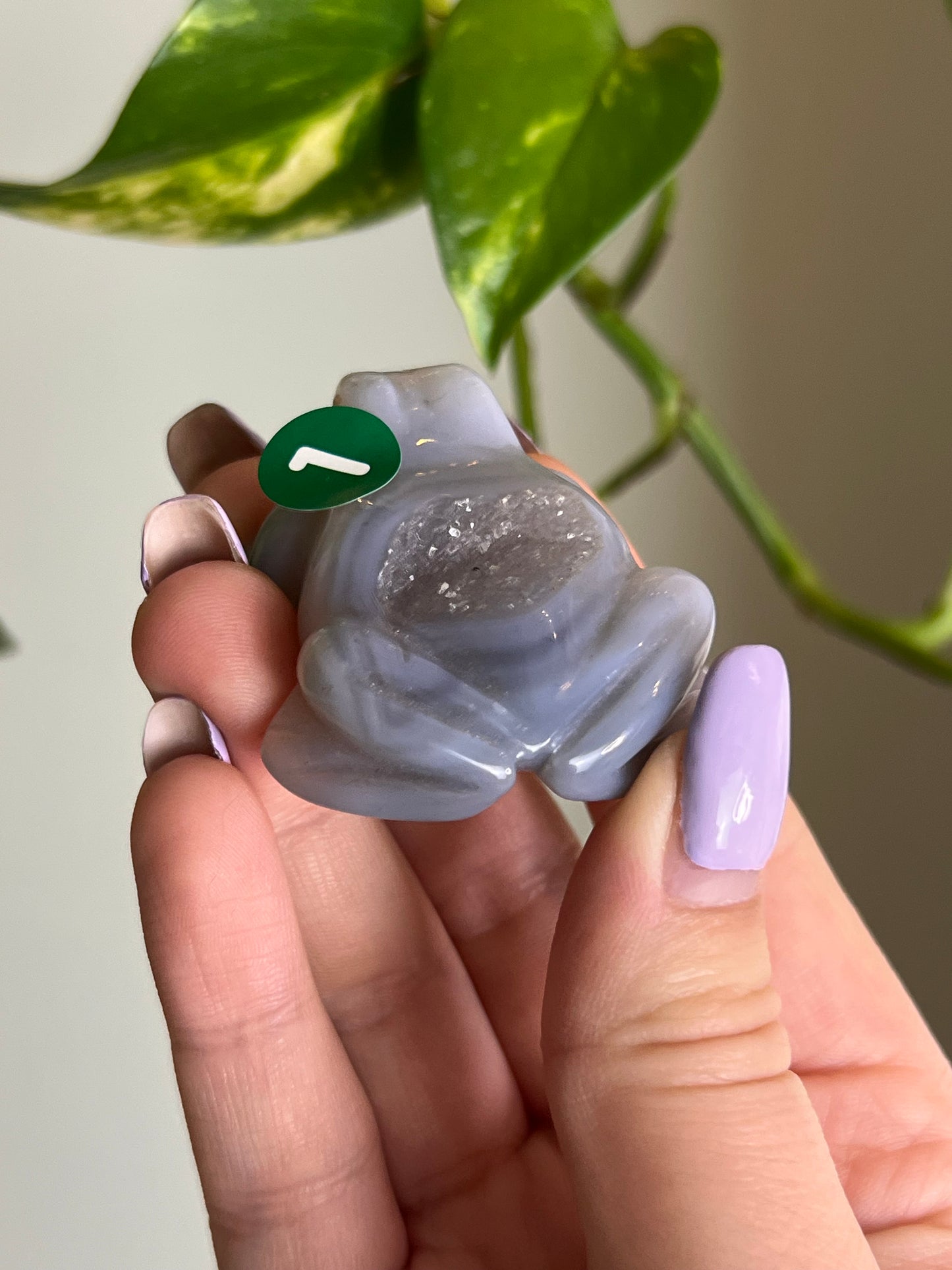 Druzy Agate Frog - 1