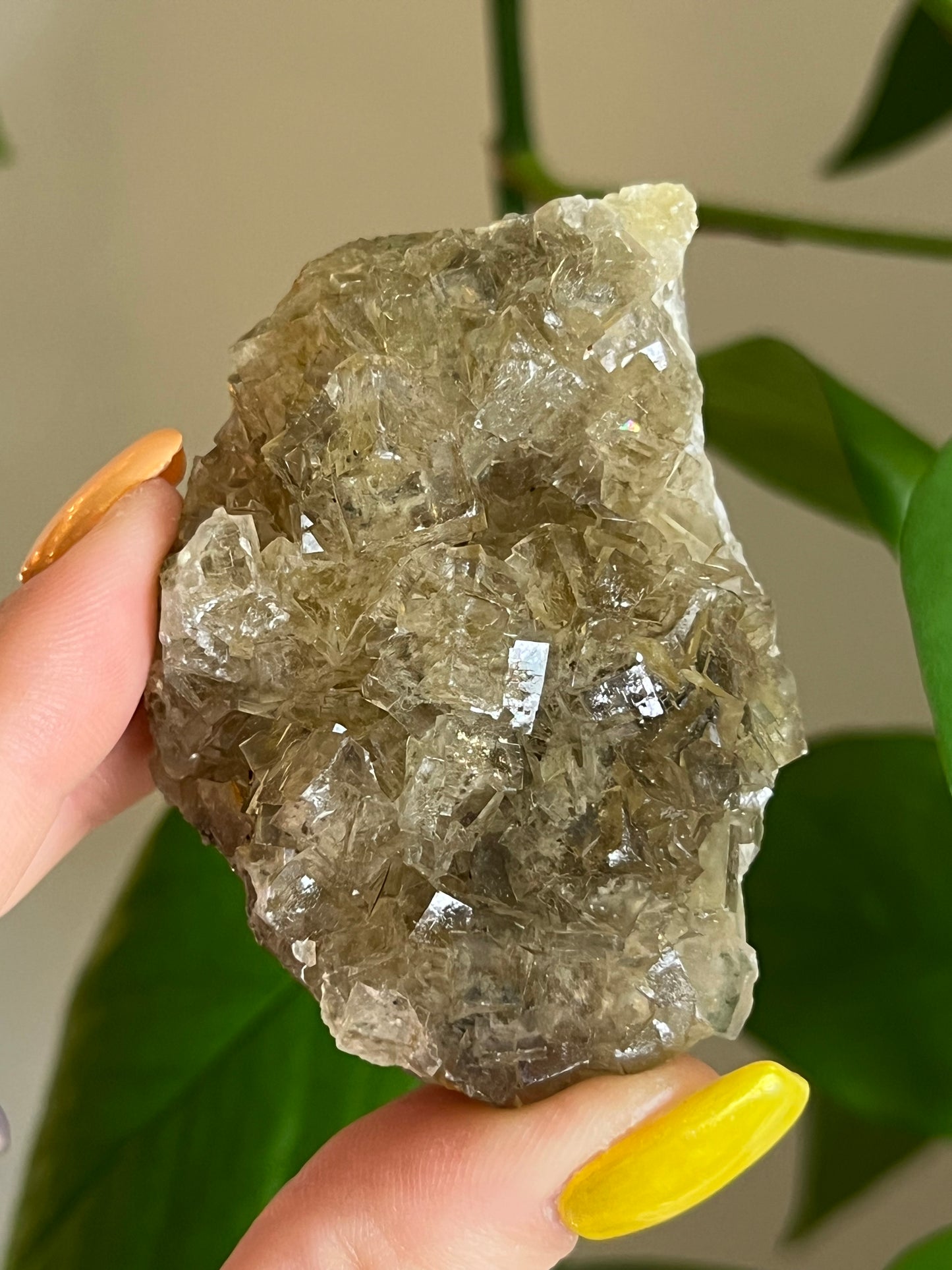 Yellow Fluorite Cluster Q