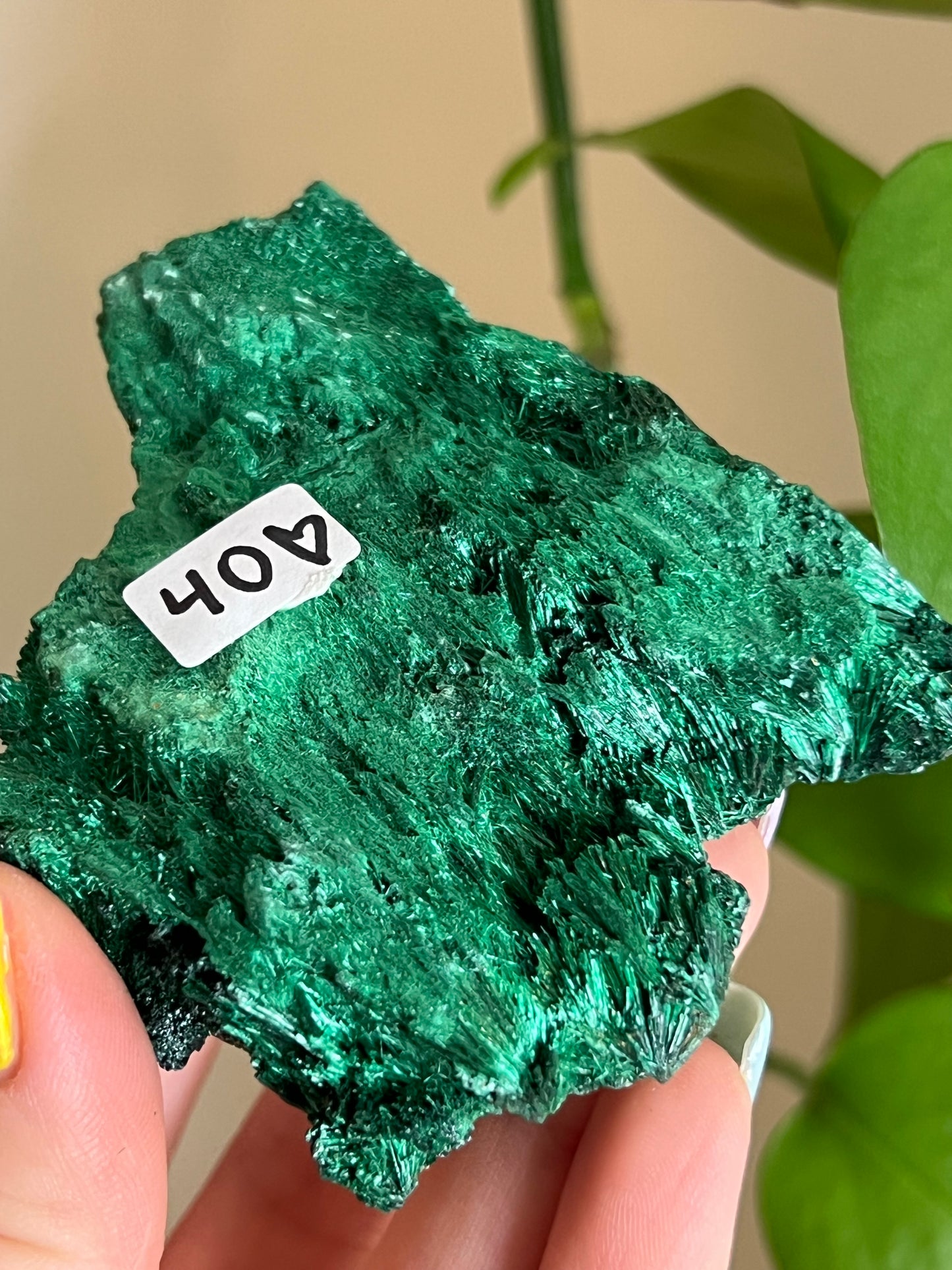 Velvet Malachite Raw B