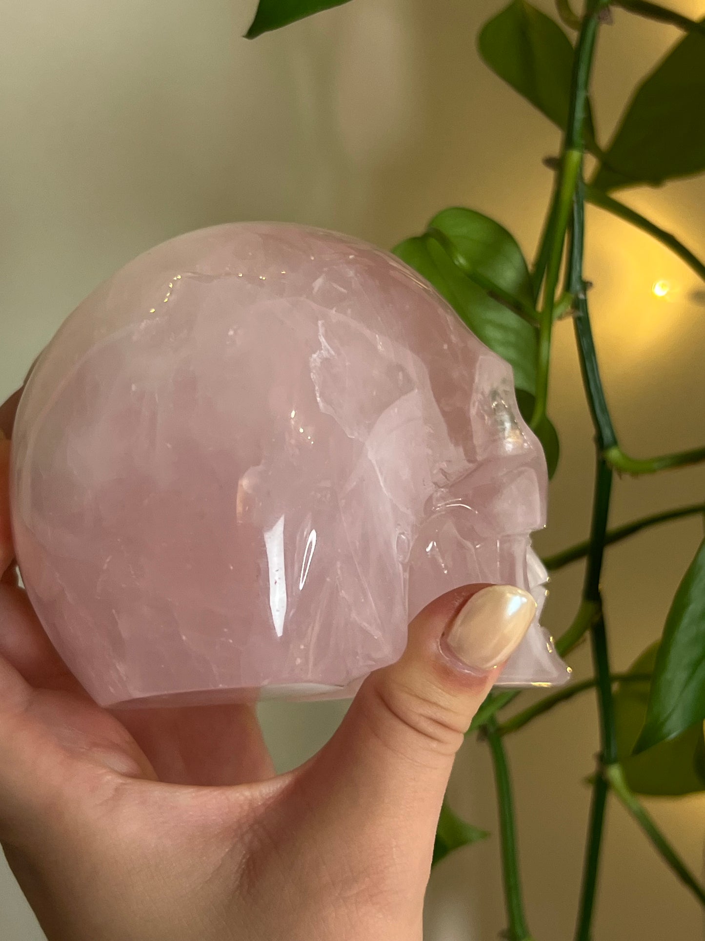 High Quality Rose Quartz XLarge Statement Skull