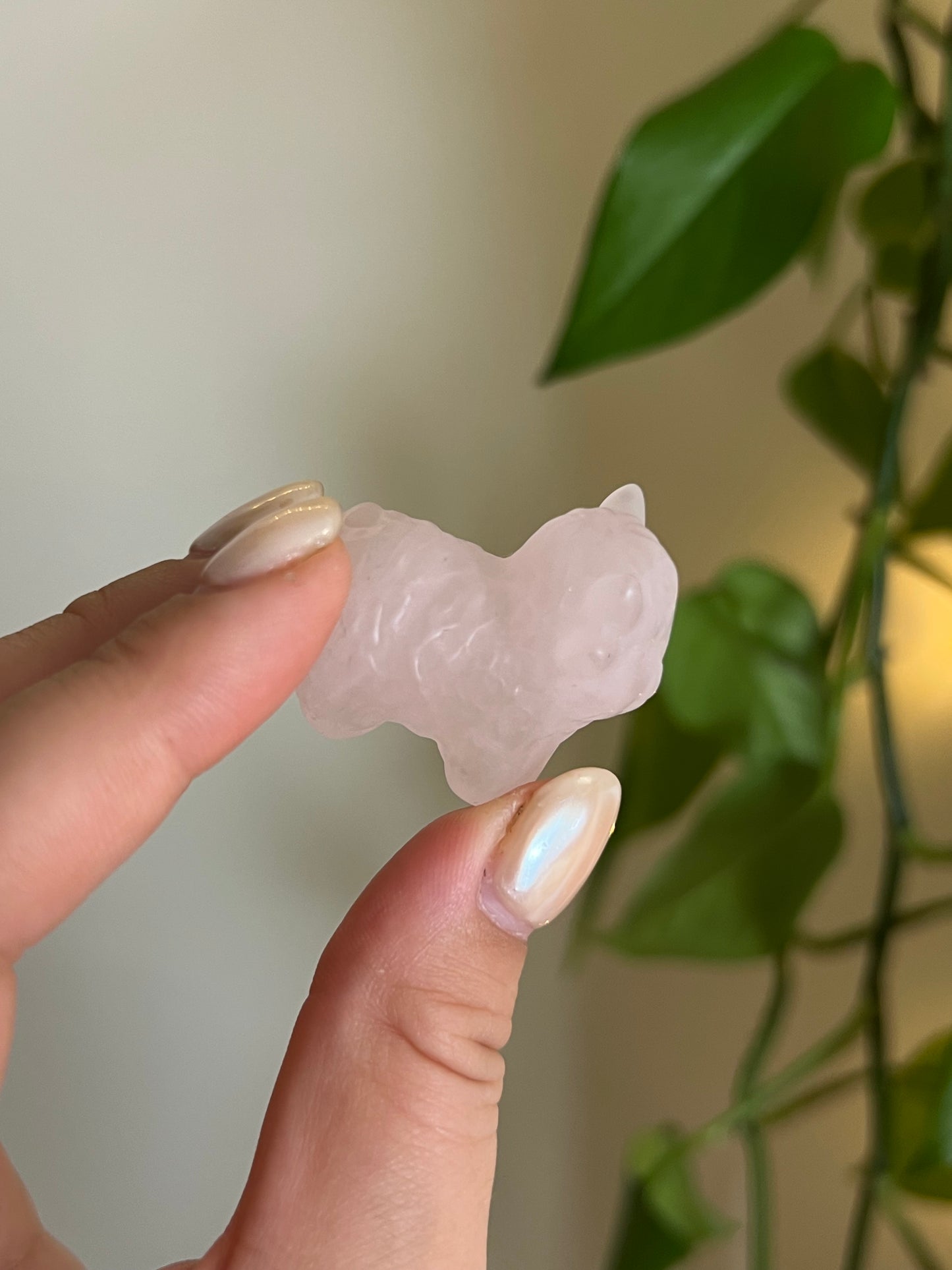 Rose Quartz Highland Cow