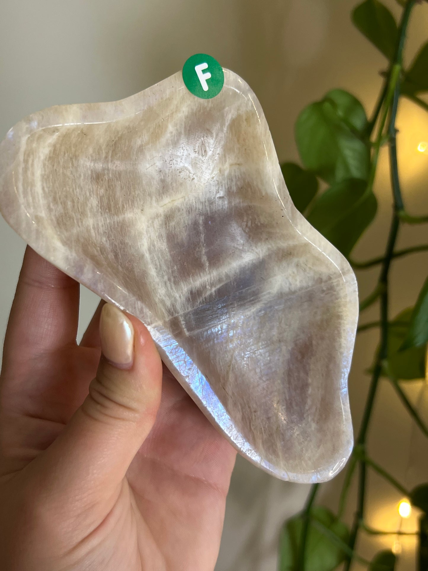 Flashy Moonstone Bowl - F