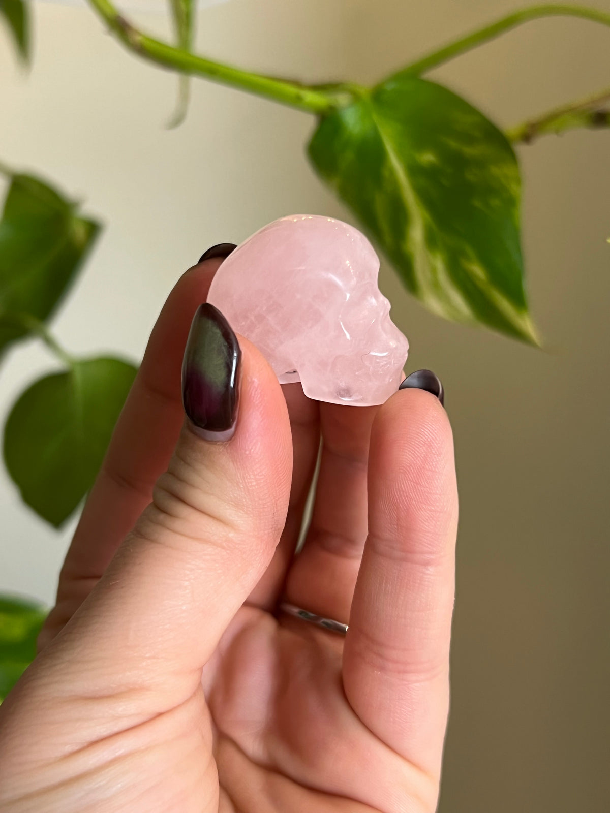 Rose Quartz Small Skull