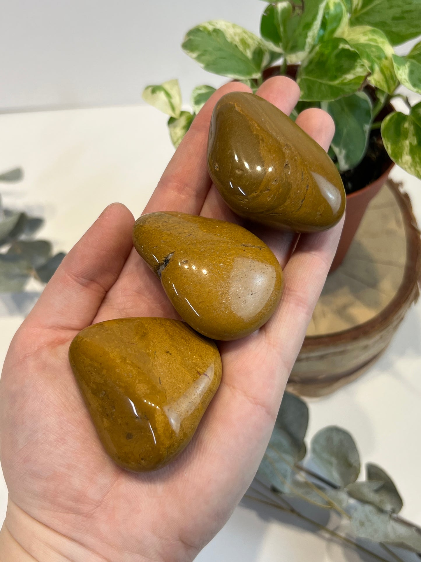 Yellow Jasper Tumbled