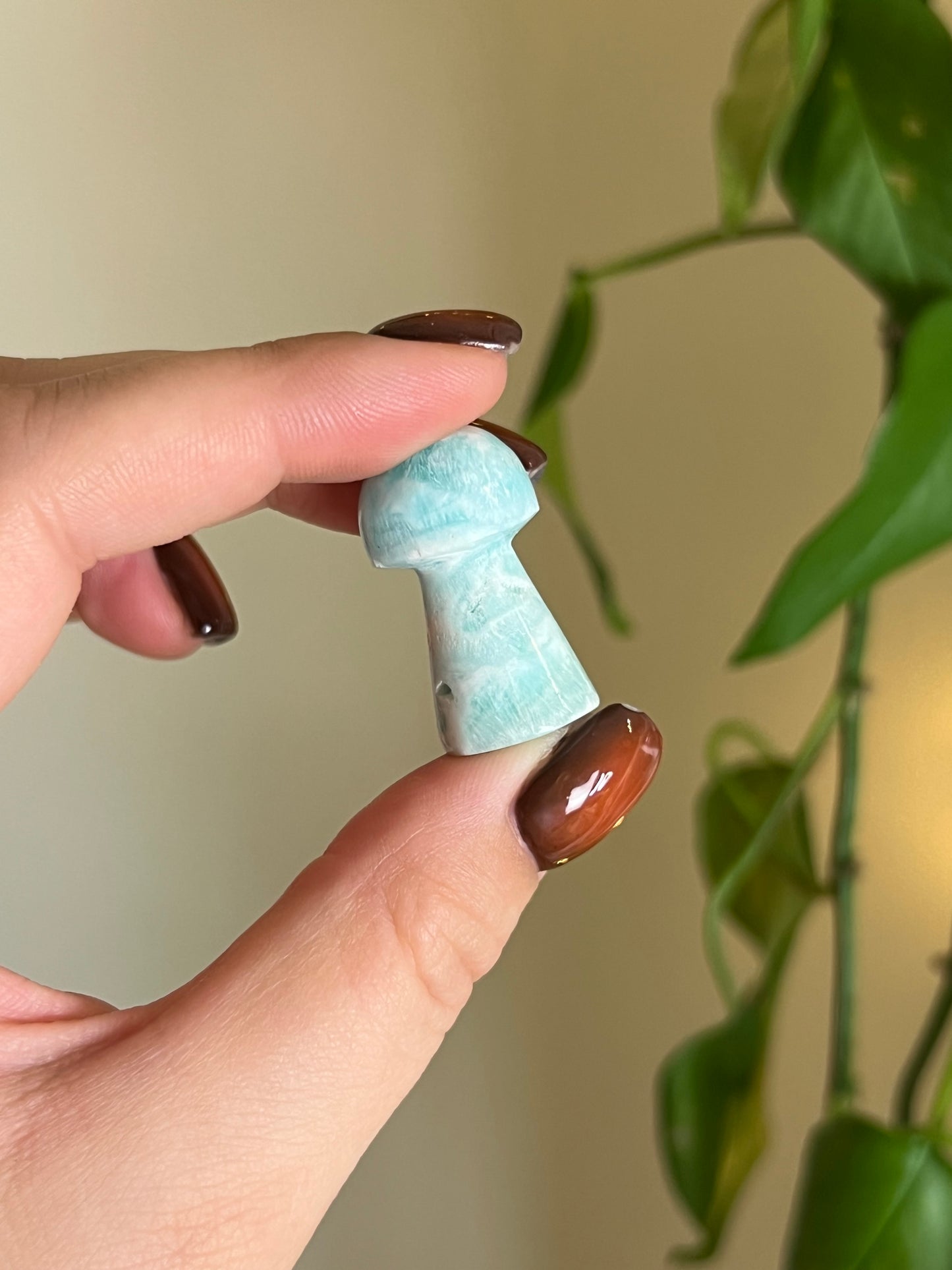 Caribbean Calcite Small Mushroom