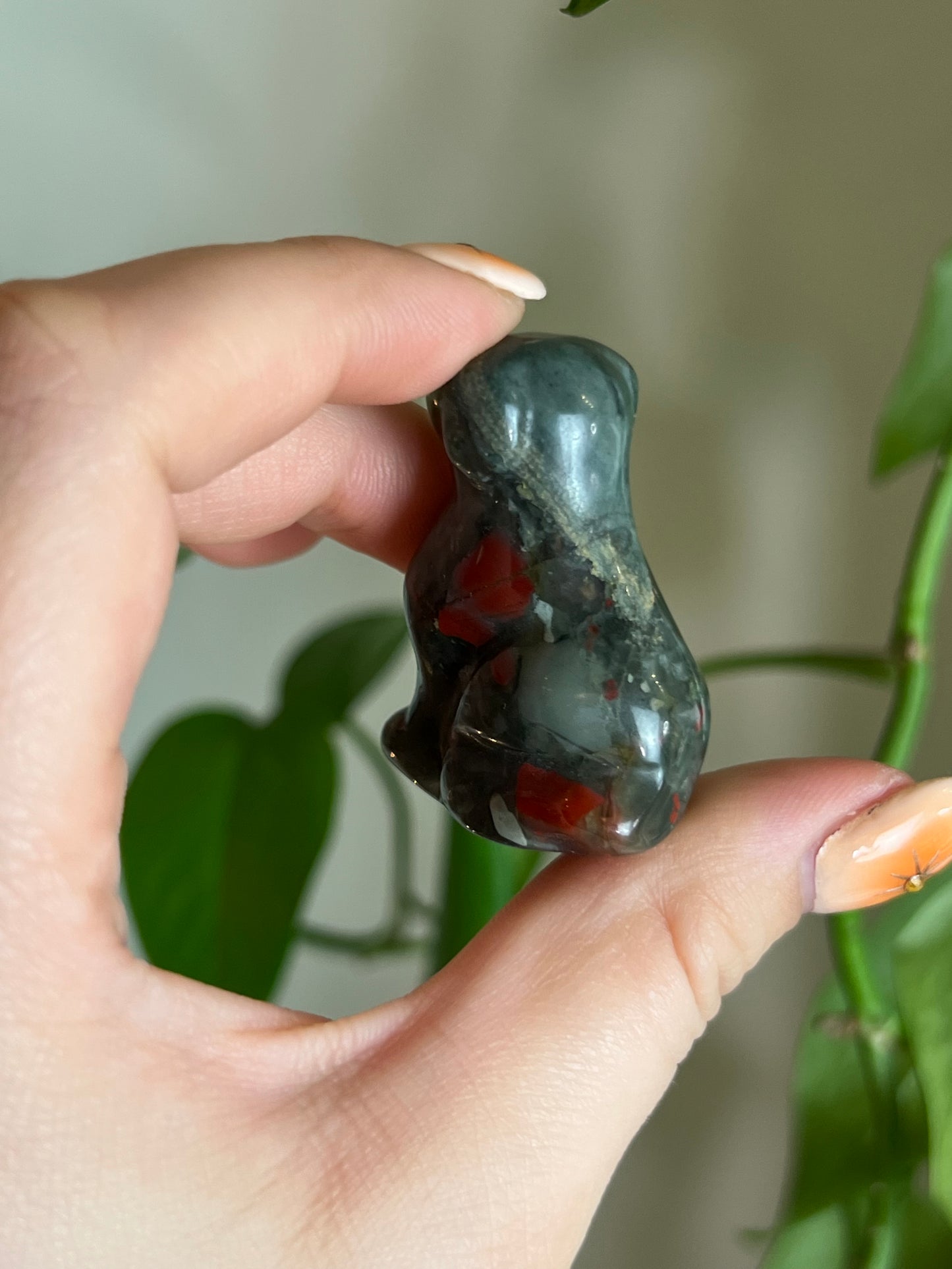 African Bloodstone Doggo