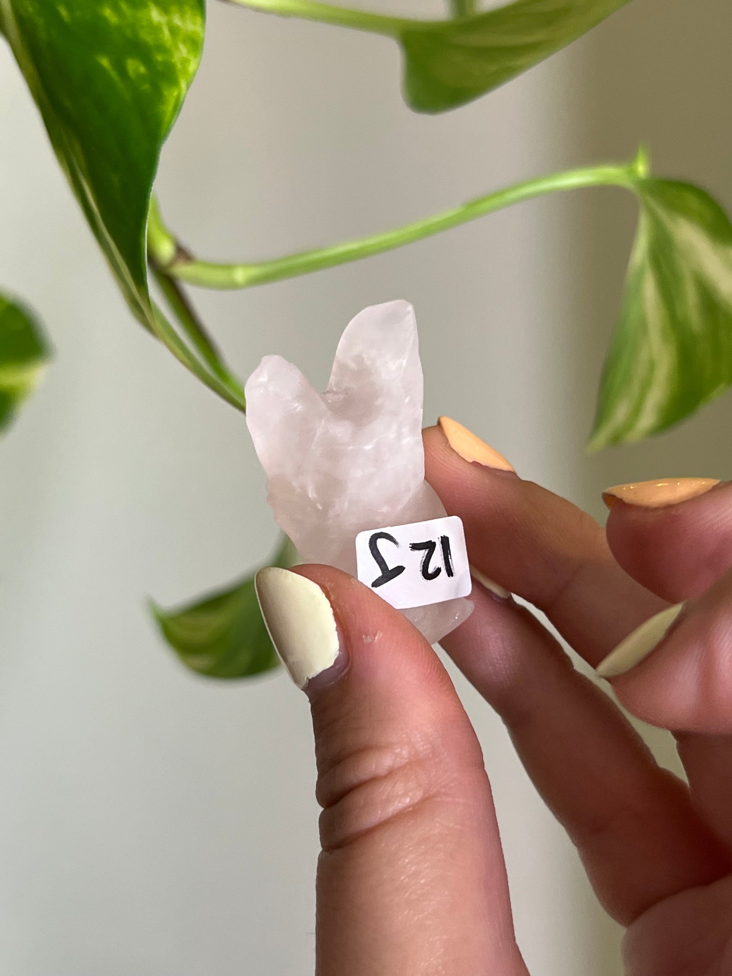Rose Quartz Cozy Bat