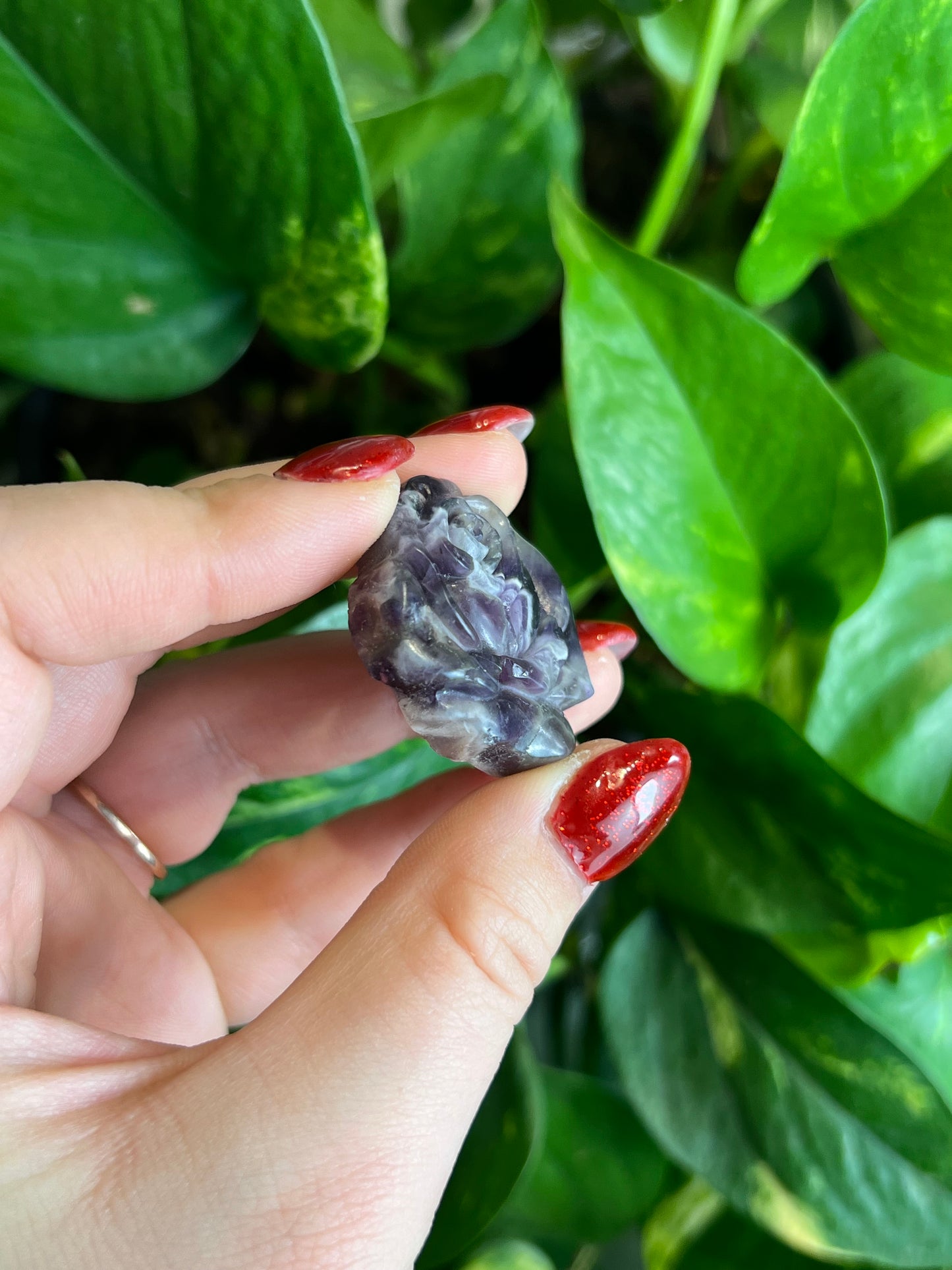Amethyst Rose