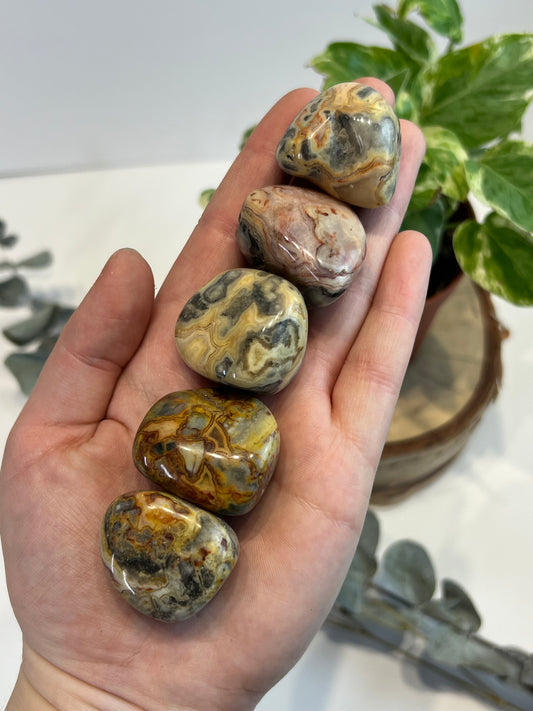 Crazy Lace Agate Tumbled