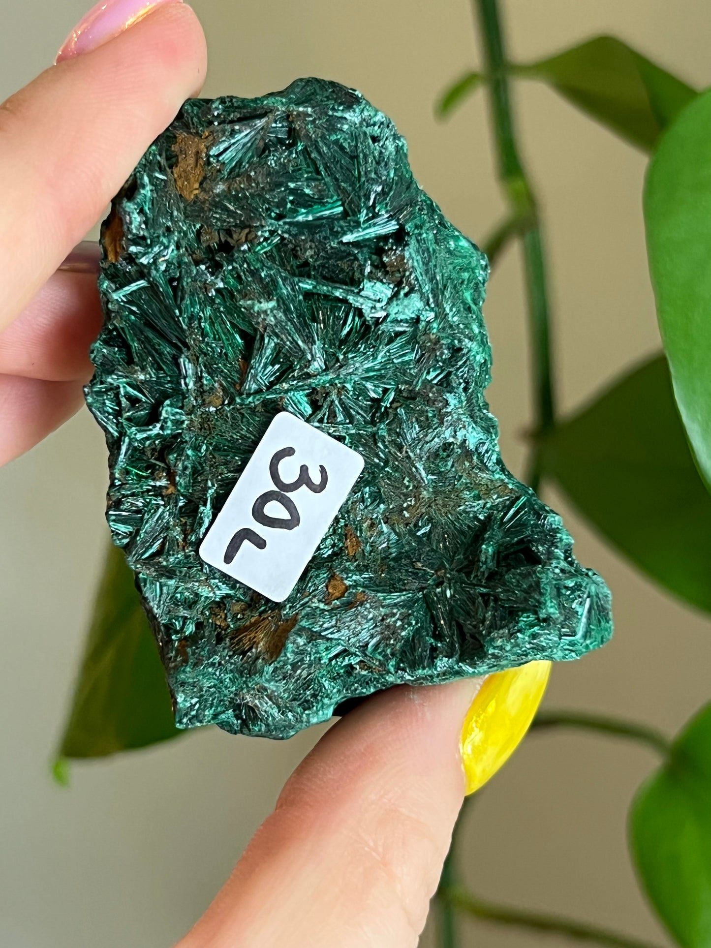 Velvet Malachite Raw L