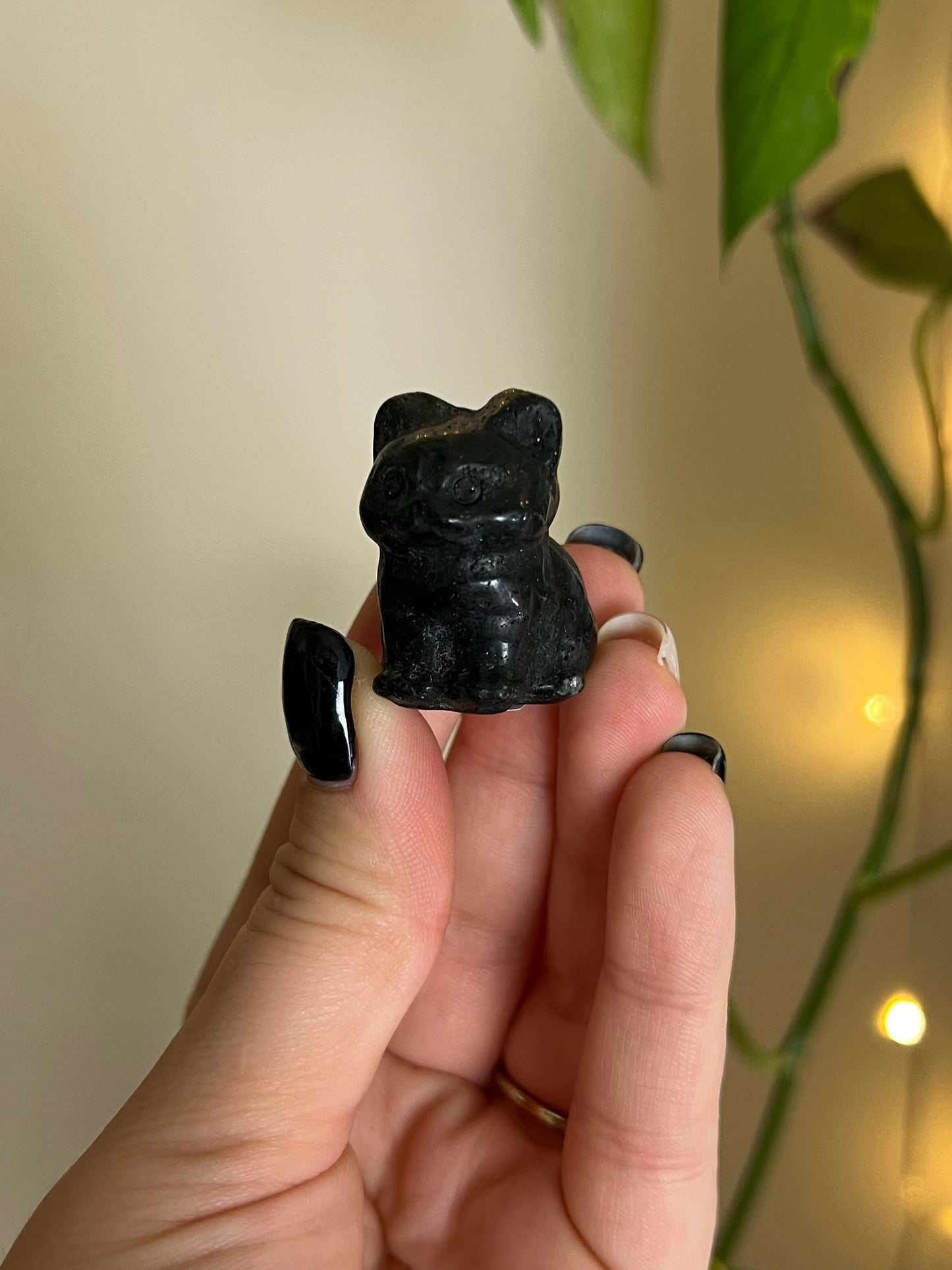 Black Tourmaline Cat