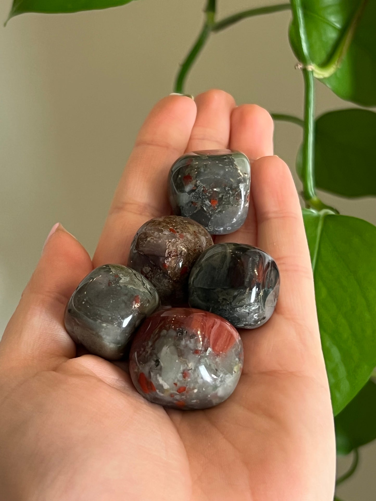 African Bloodstone Tumbled
