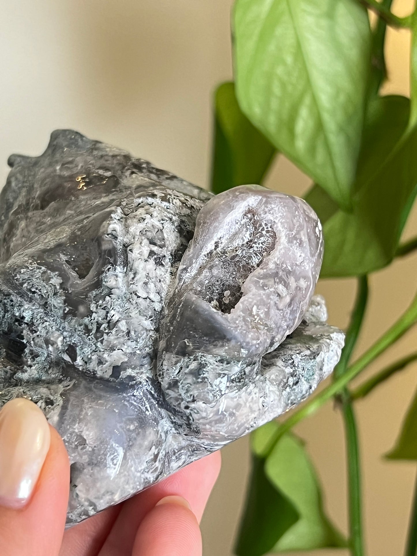 Moss Agate Large Frog