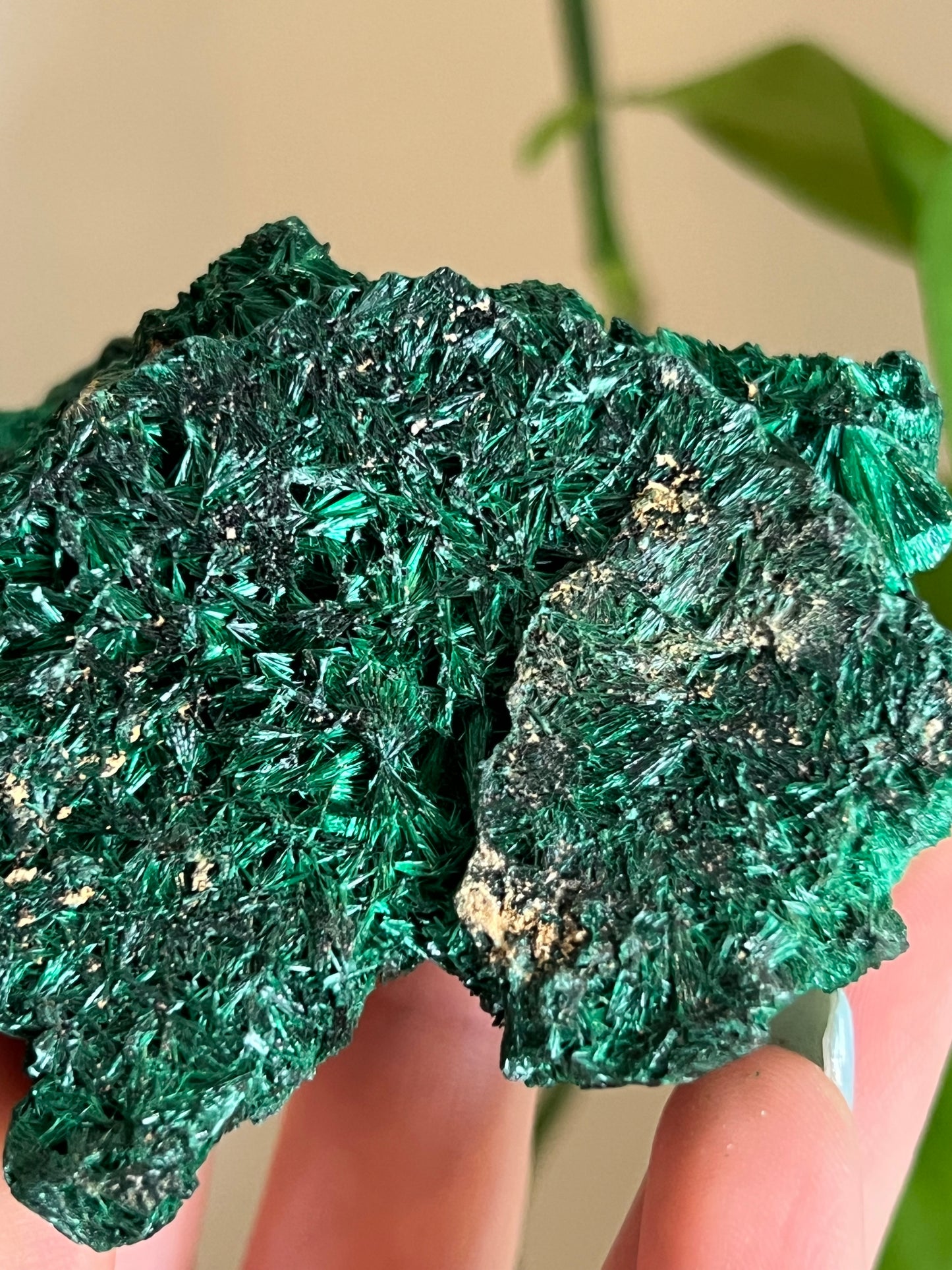 Velvet Malachite Raw B
