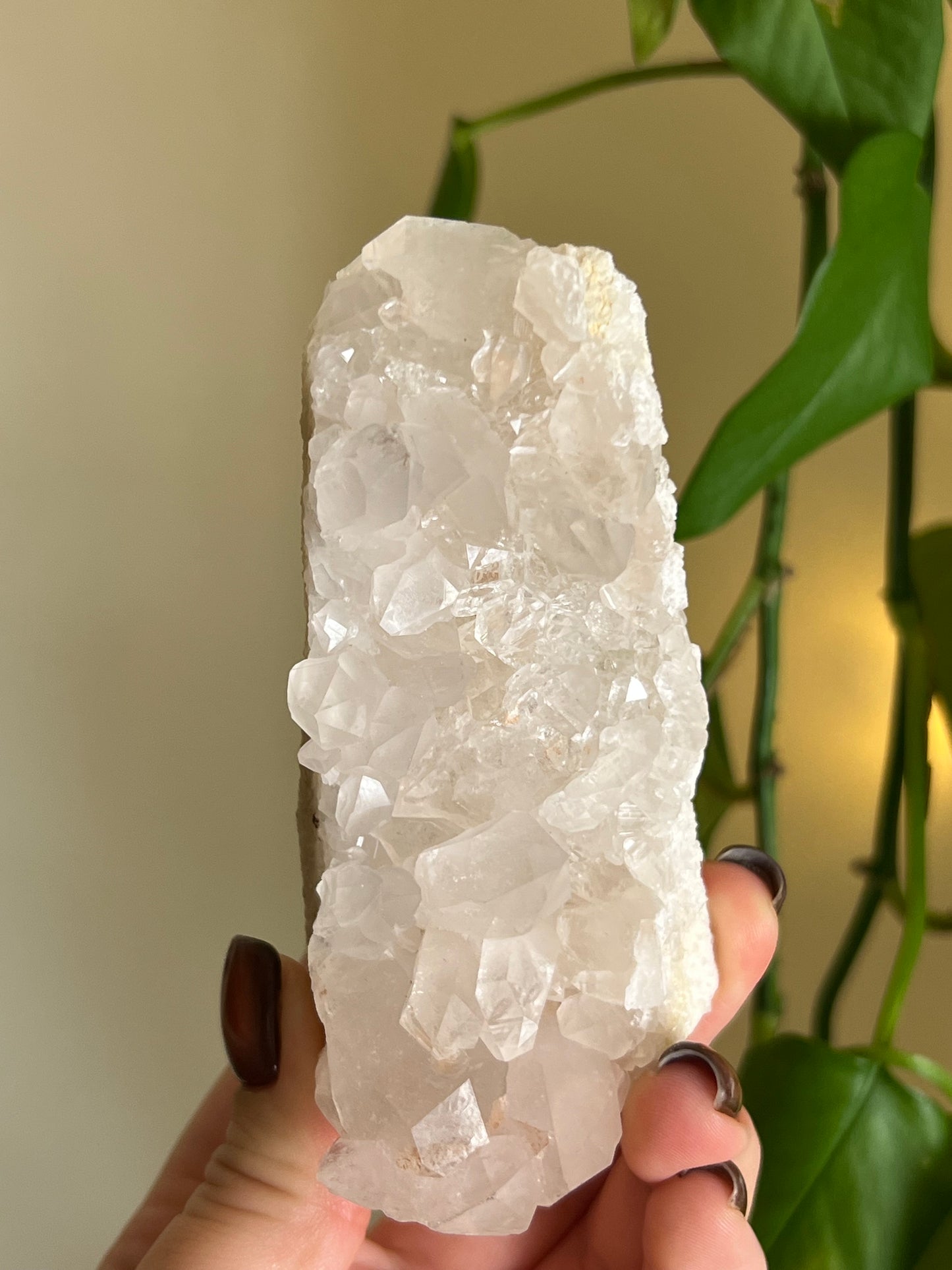 Clear Quartz Cluster - Self Standing