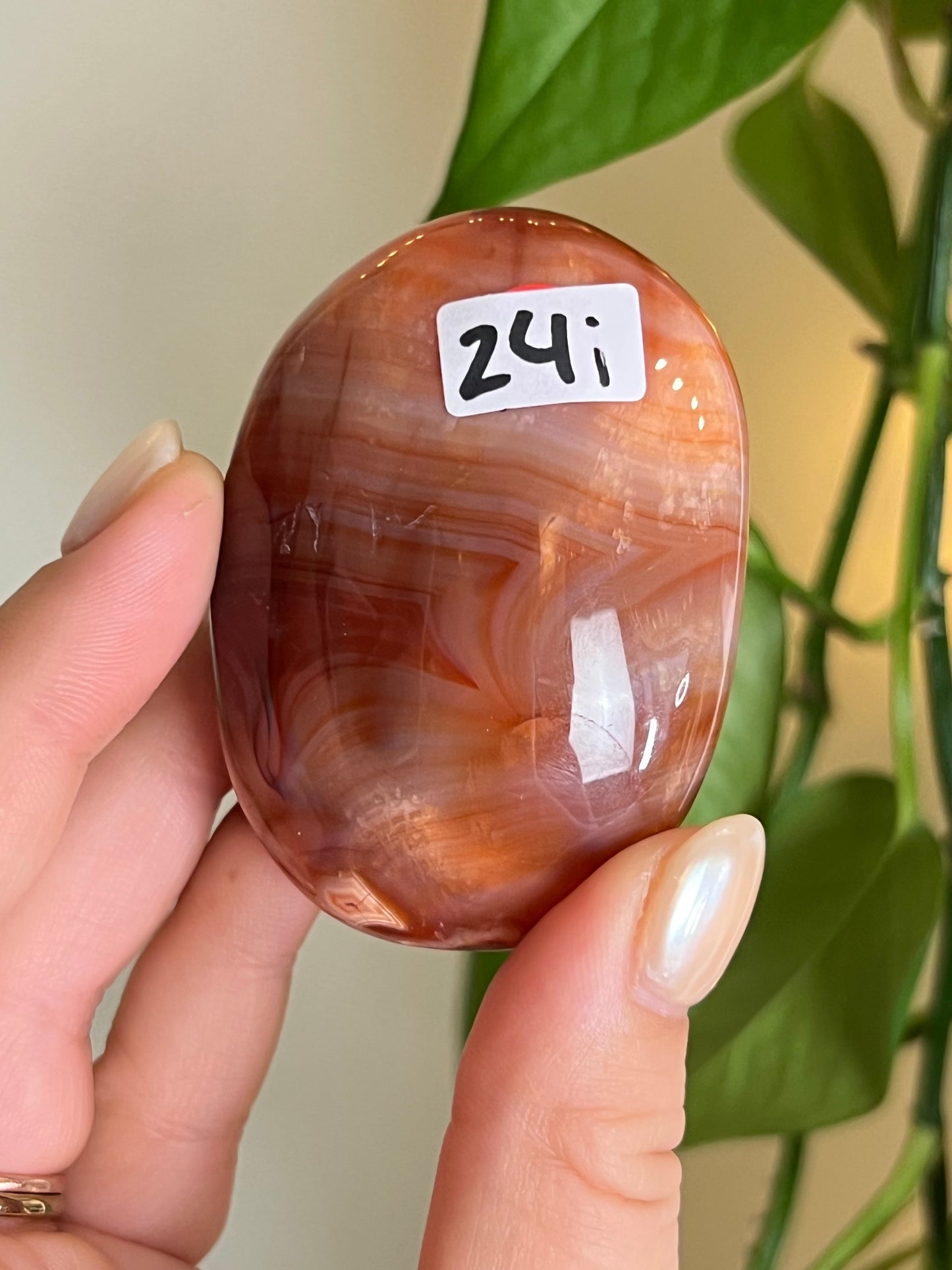 High Quality Carnelian Palm Stone i